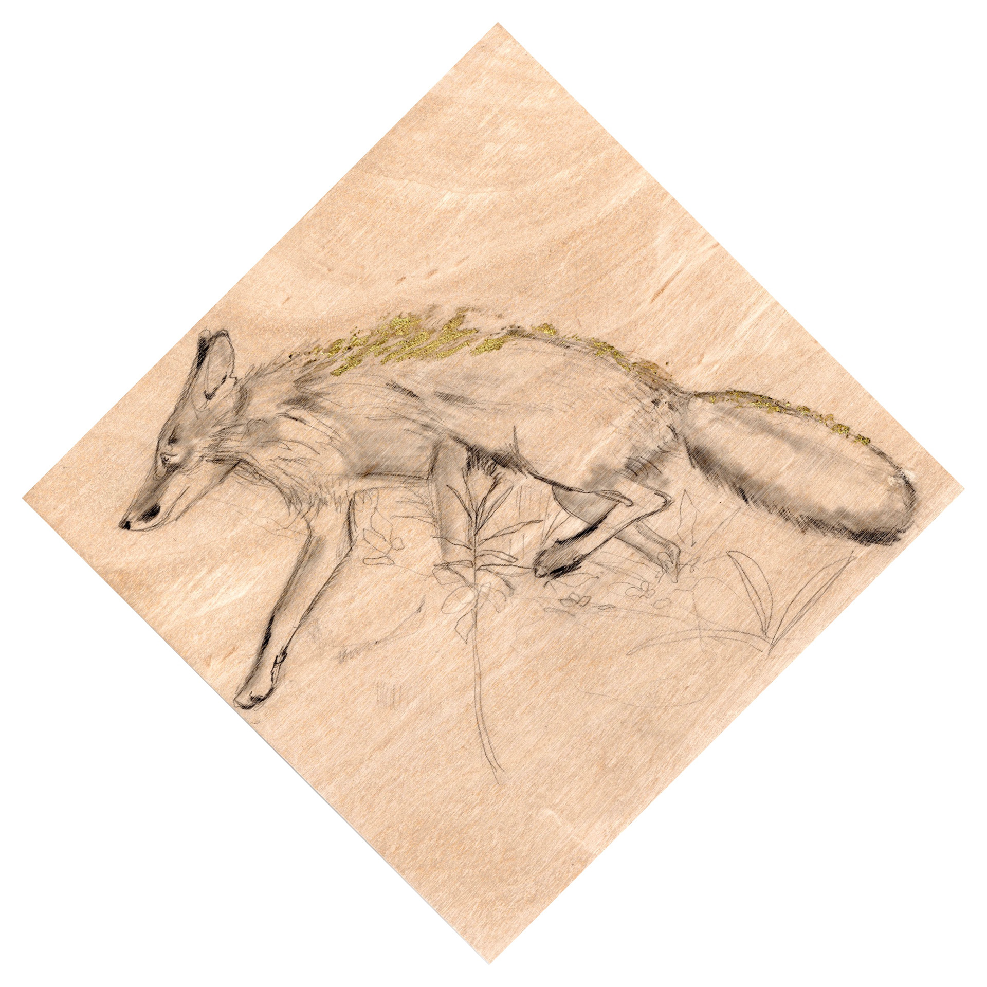 'Golden Hour Fur' 2023