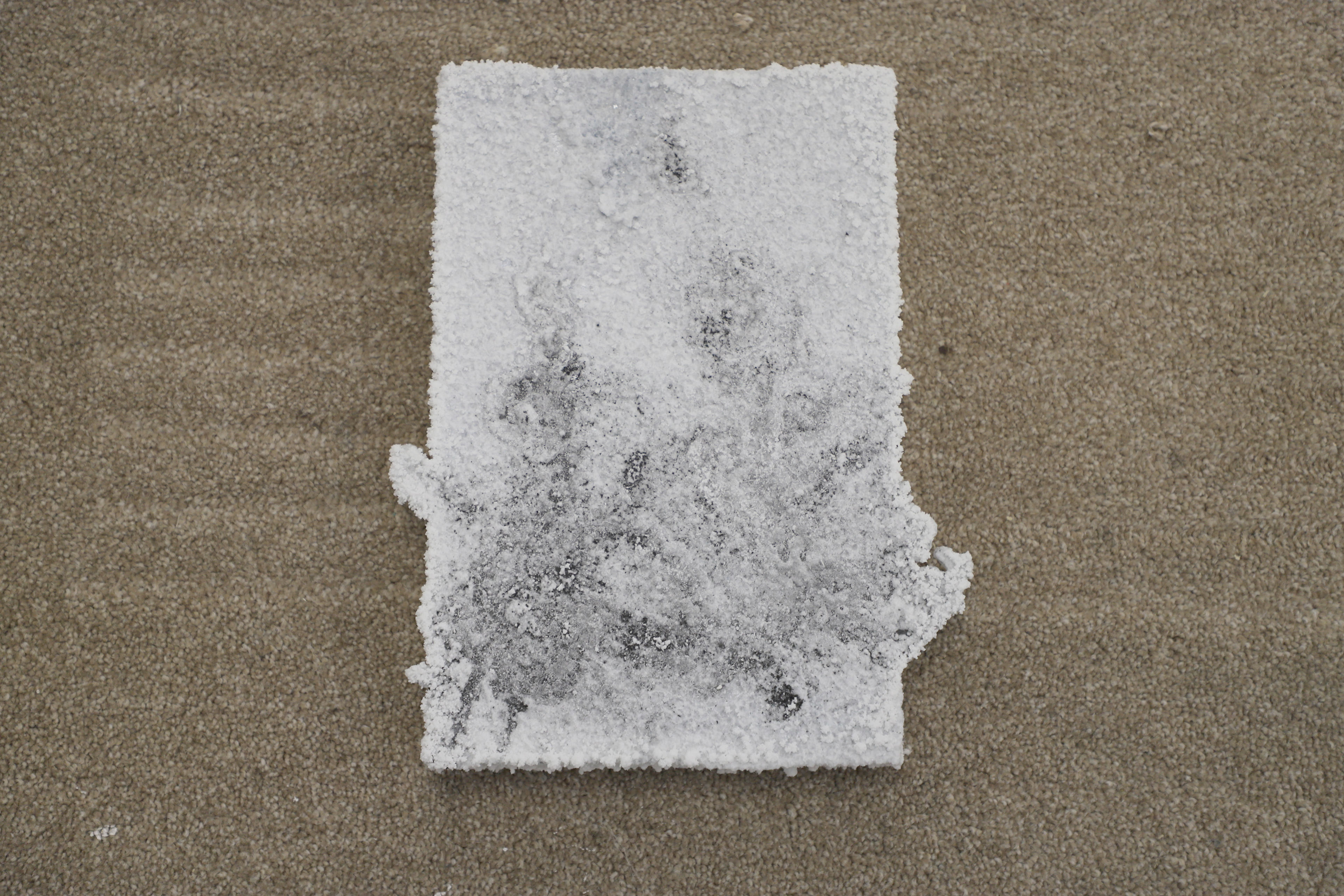 'Untitled' (2026) Plaster, Salt, Graphite dust.