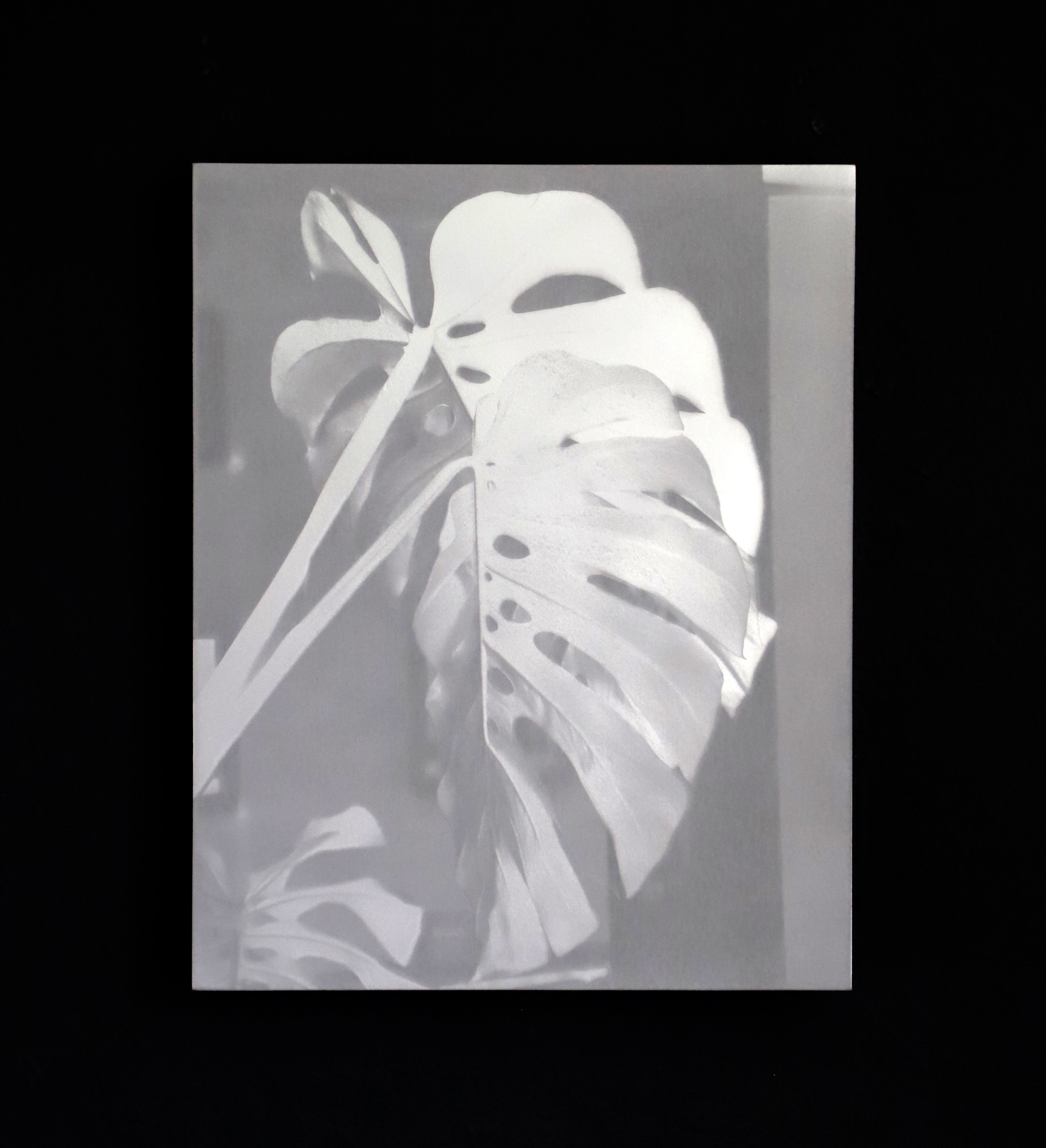 'Untitled' (Eclipse) (2022) Spray Paint, Gesso Board. 18 x 24cm.