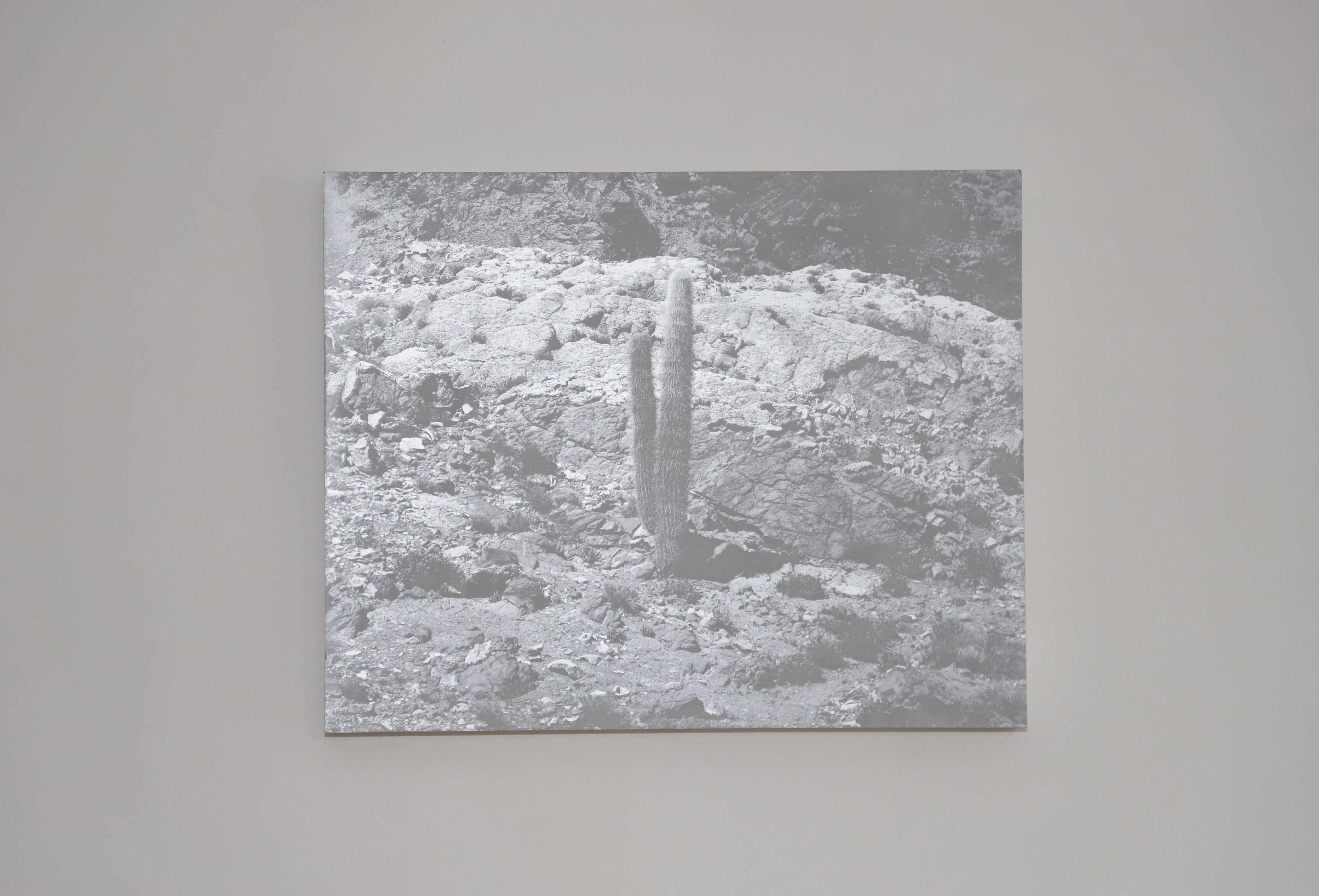 'Untitled' (2022) Spray Paint, Gesso Board. 40x 30cm.