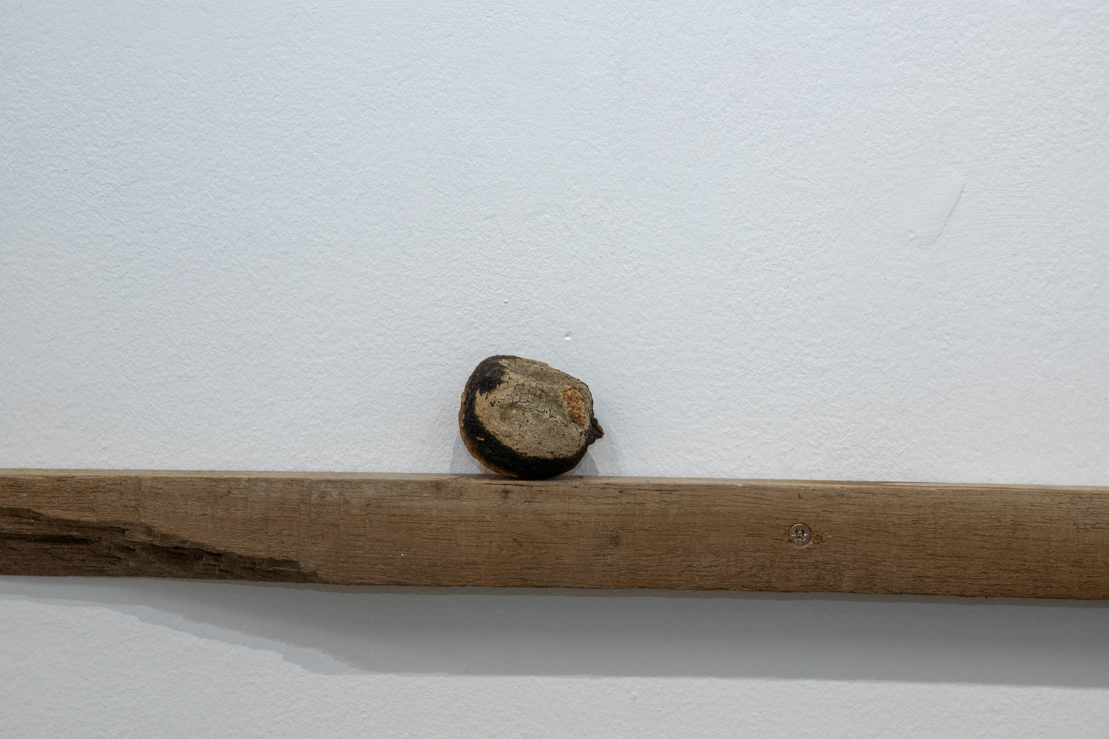 'Untitled' (Detail) (2026)  Lemon.