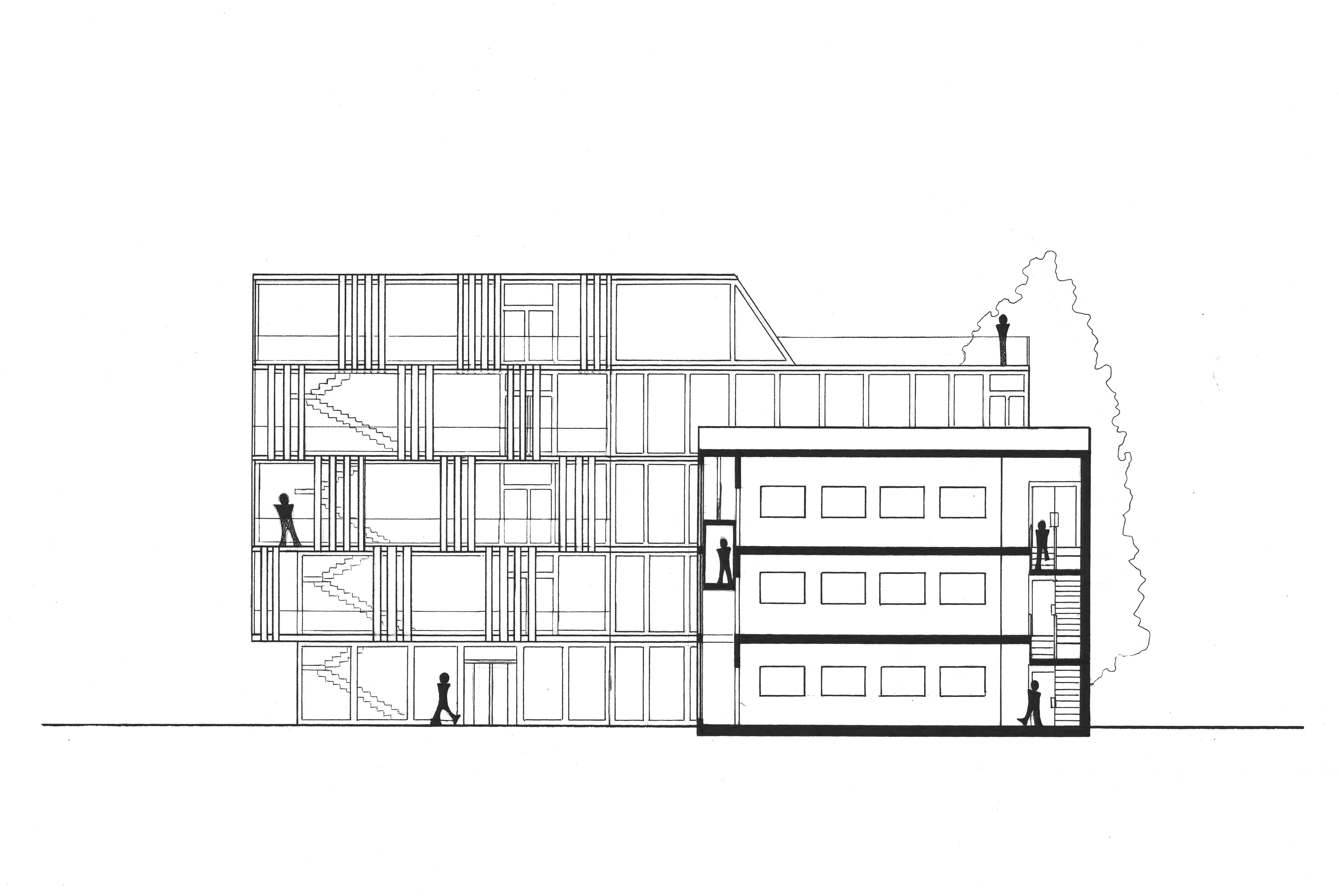west sectional elevation 1:100