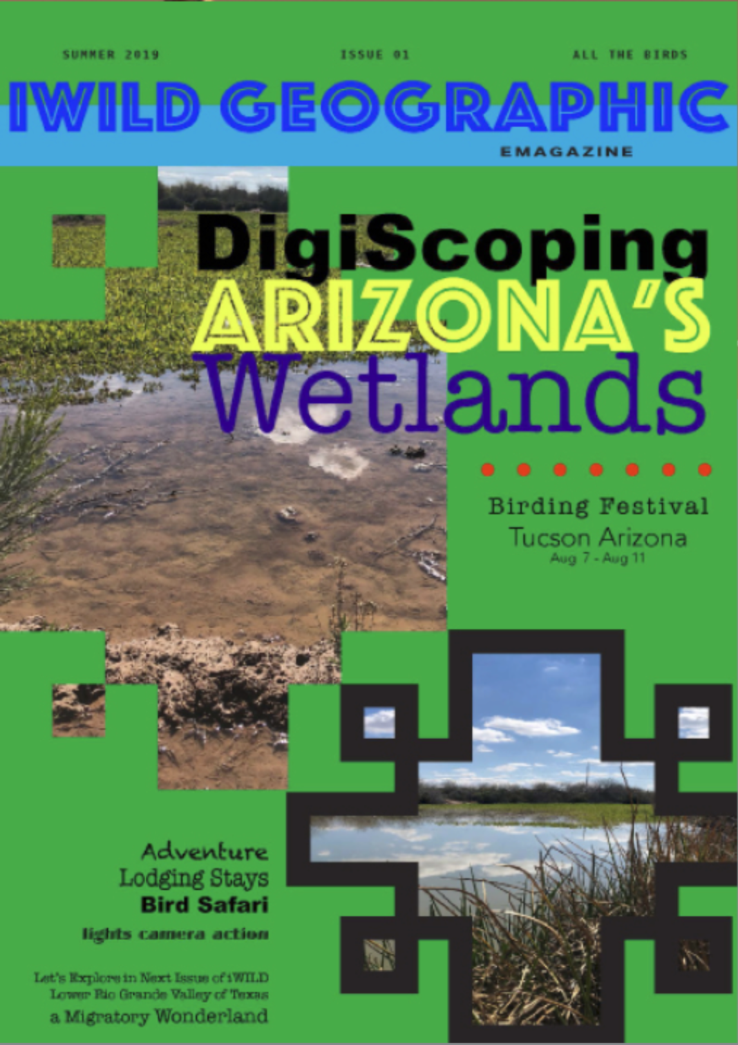 Summer 2019 Issue Cover NPTV Images