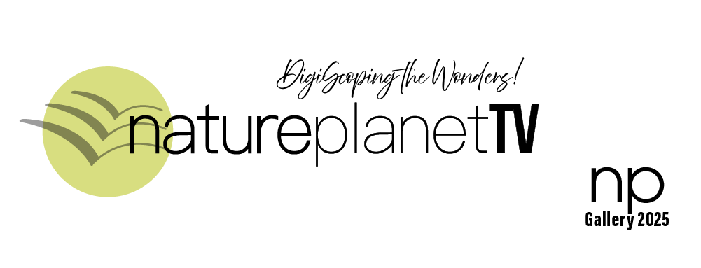 Nature Planet TV