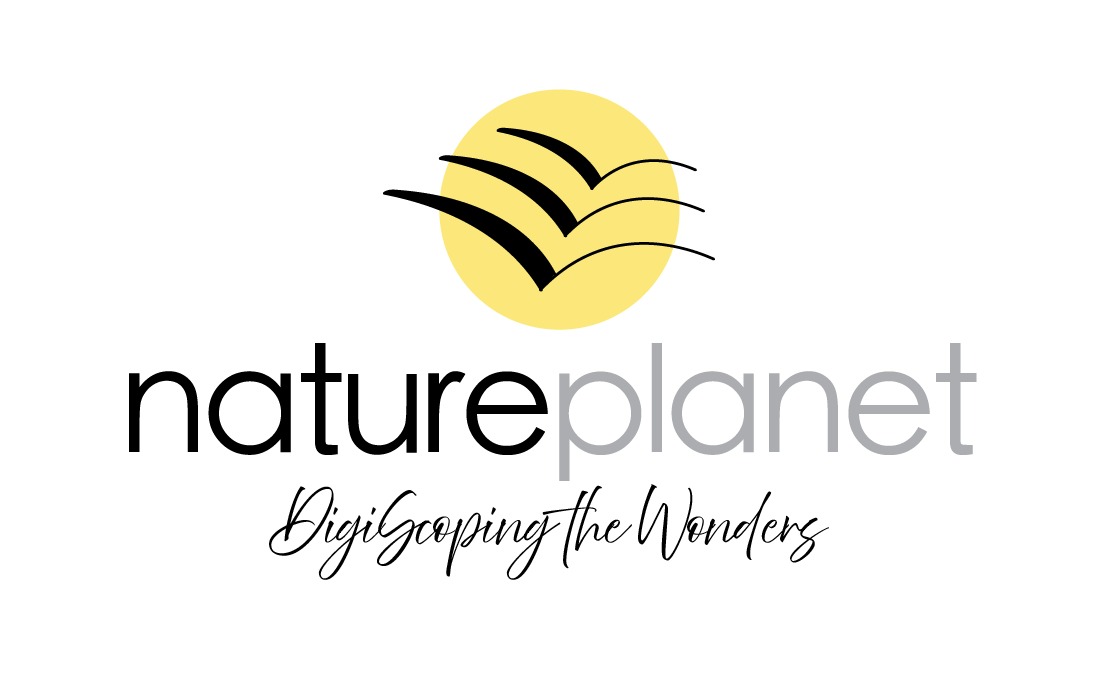 Nature Planet TV