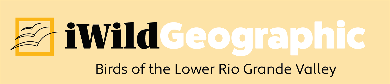 iWildGeo.com Logo