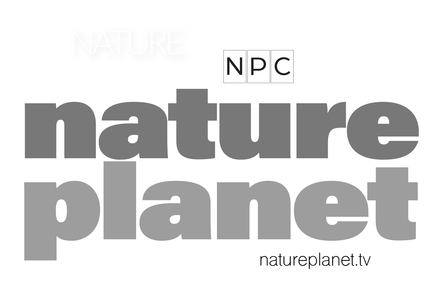 Nature Planet | NPC Digiscoping Birds