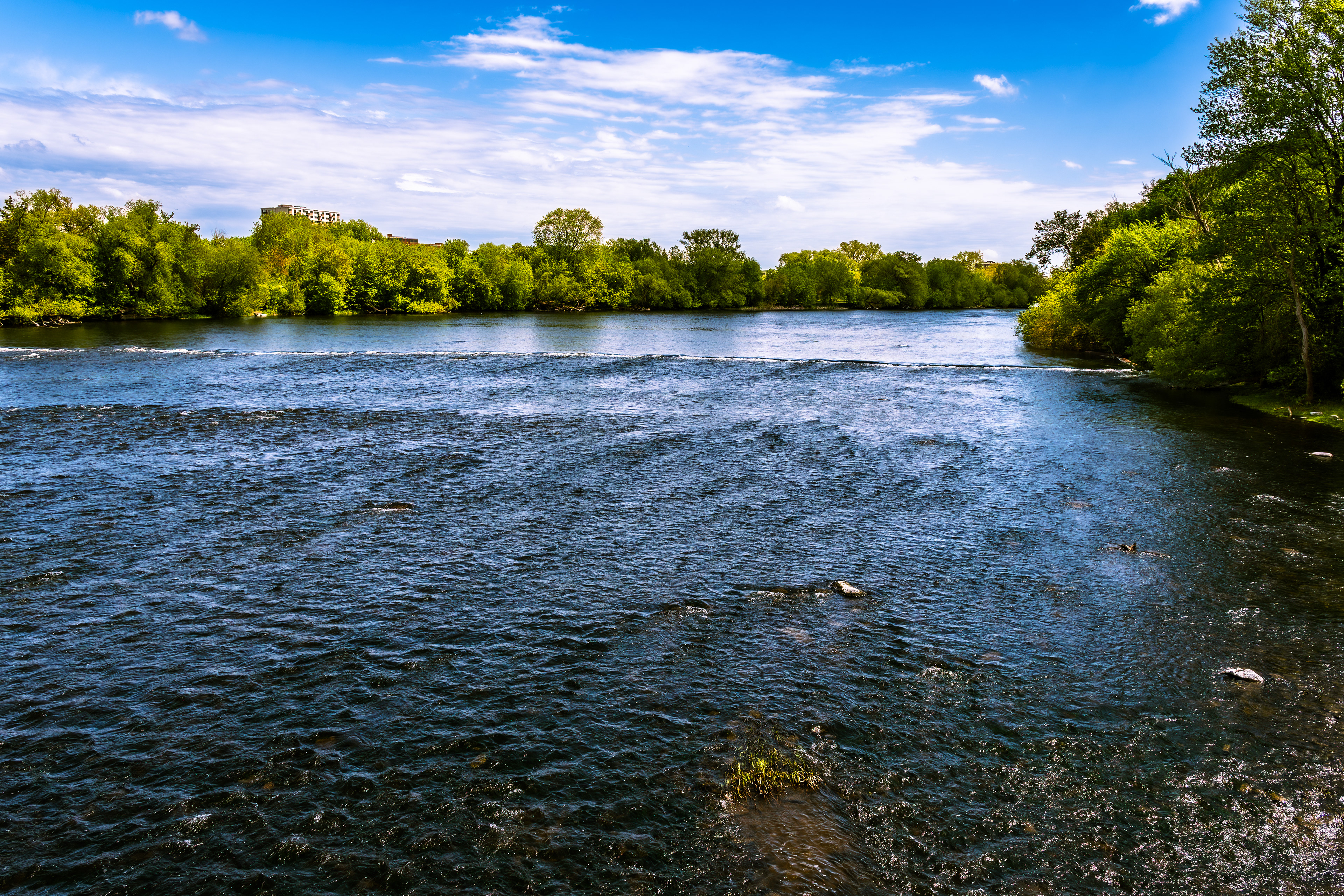 Along the Rideau River