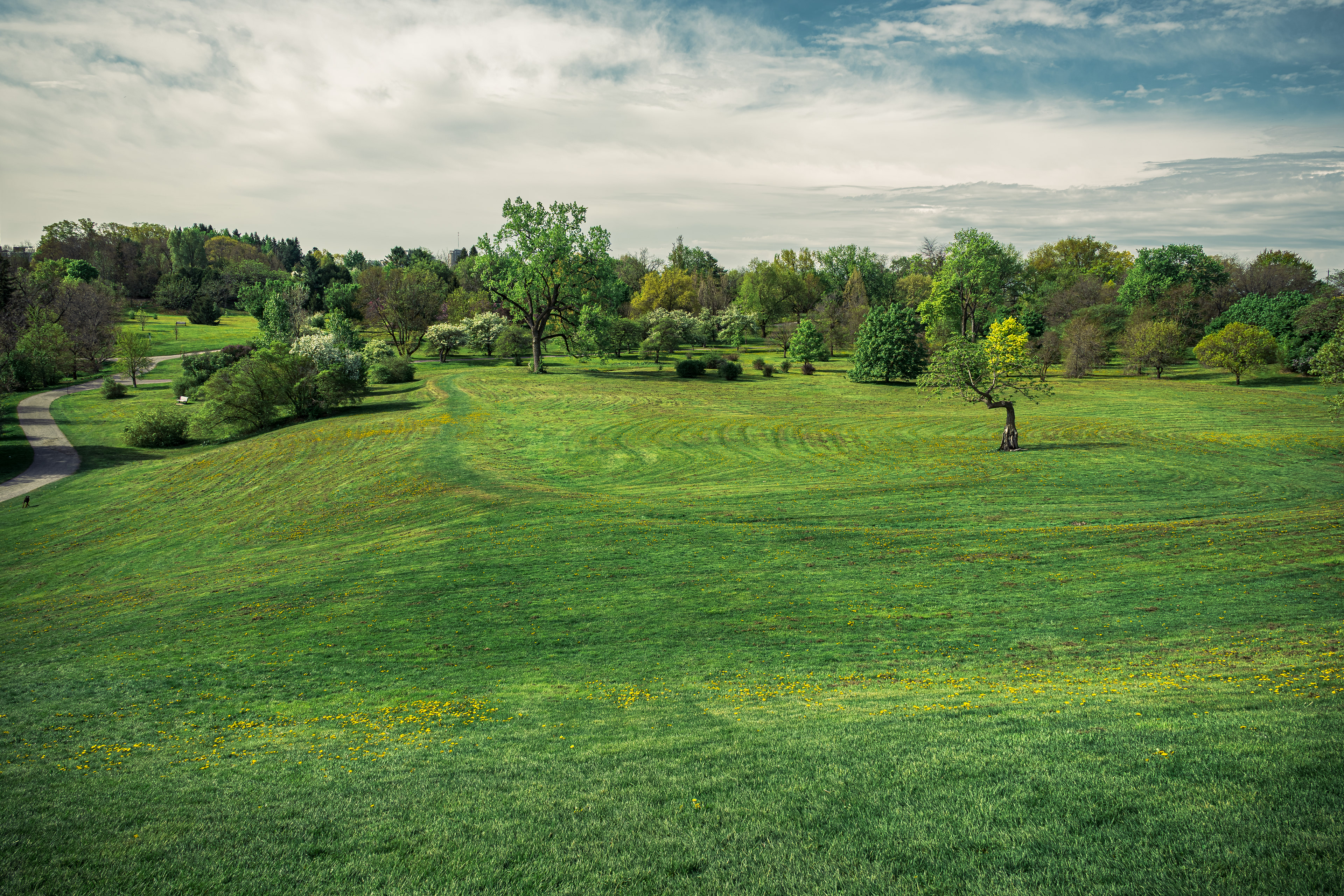 Wandering through Ottawa’s Dominion Arboretum