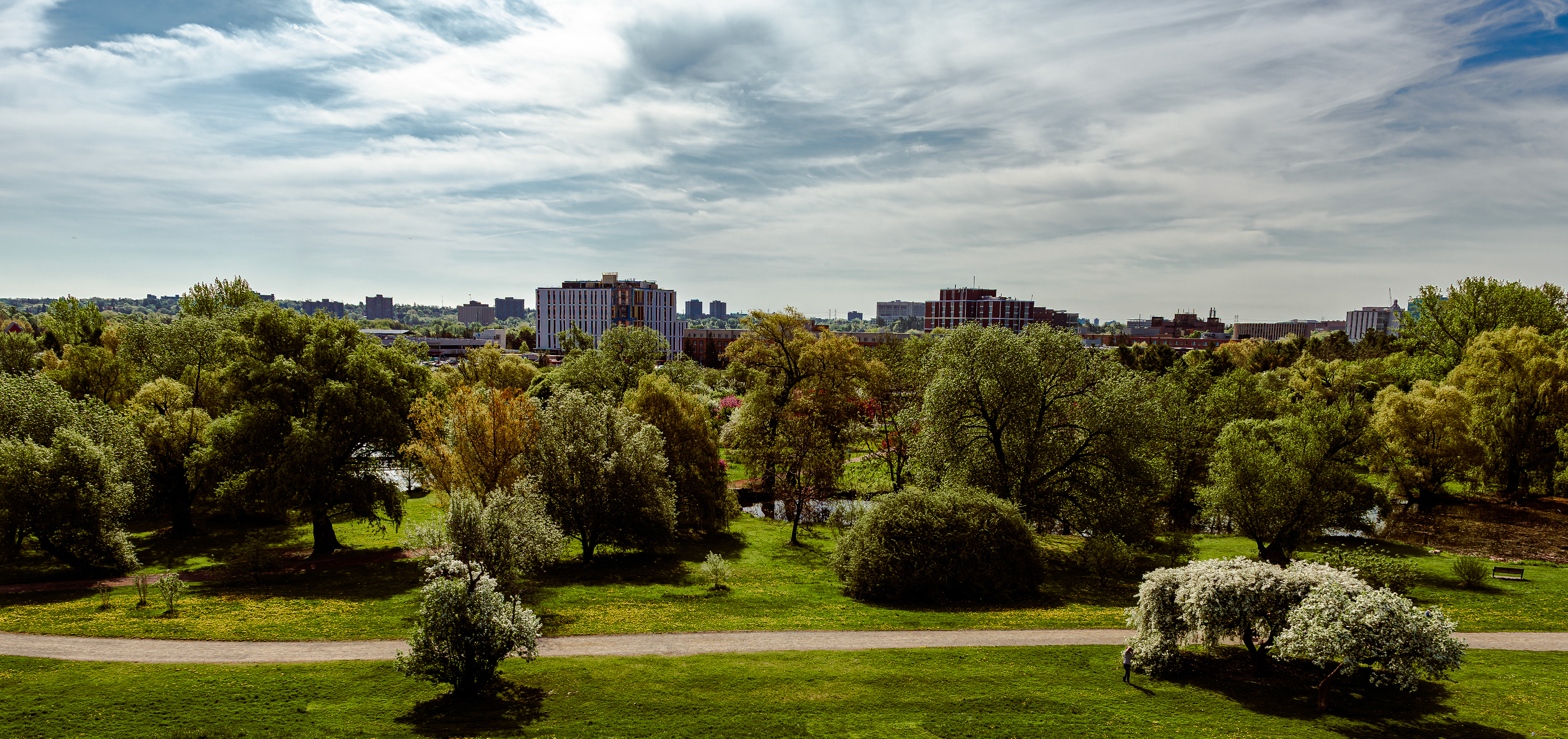 A spring skyline view from the Arboretum