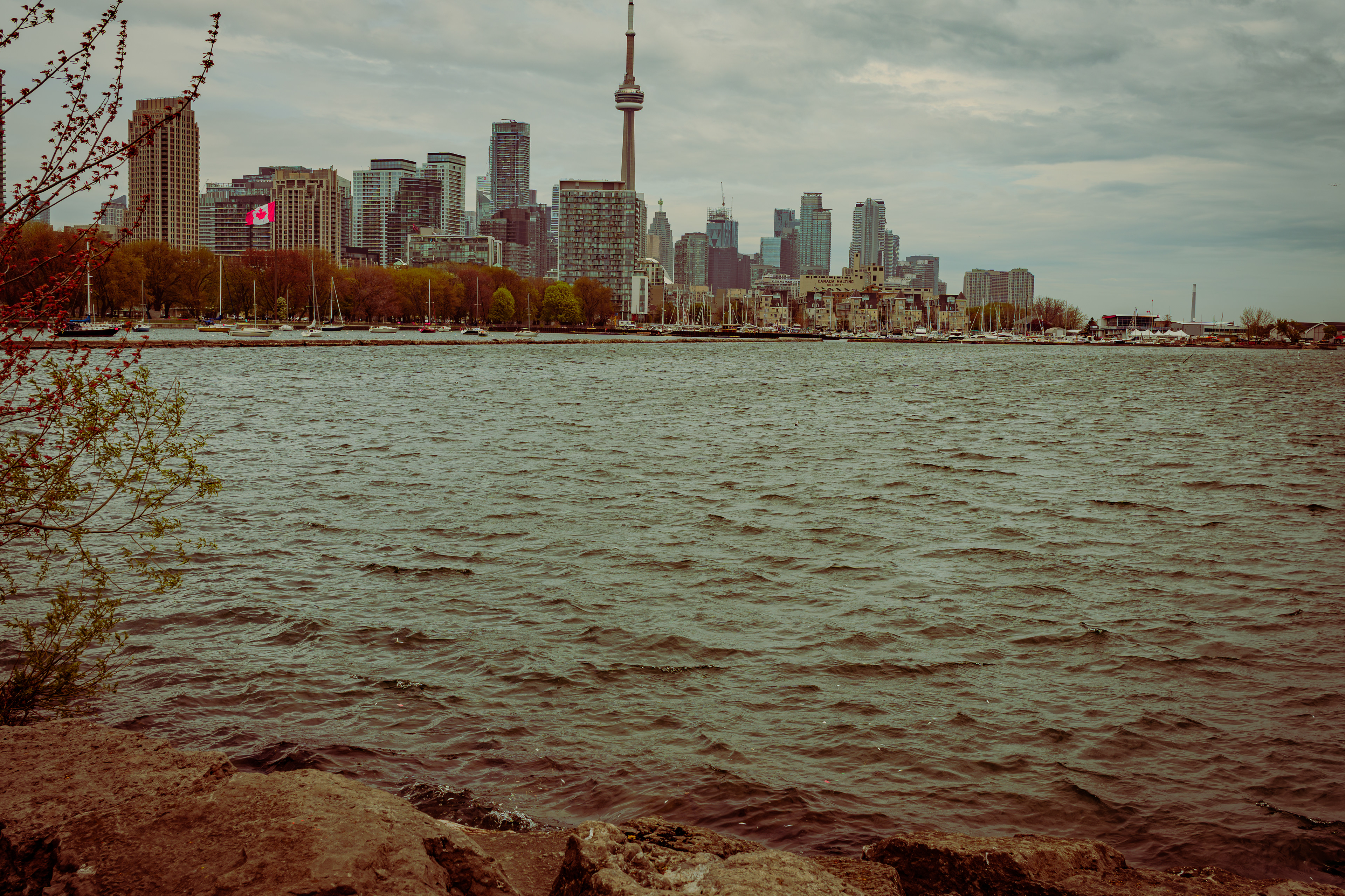 A moody view of downtown Toronto under overcast skies