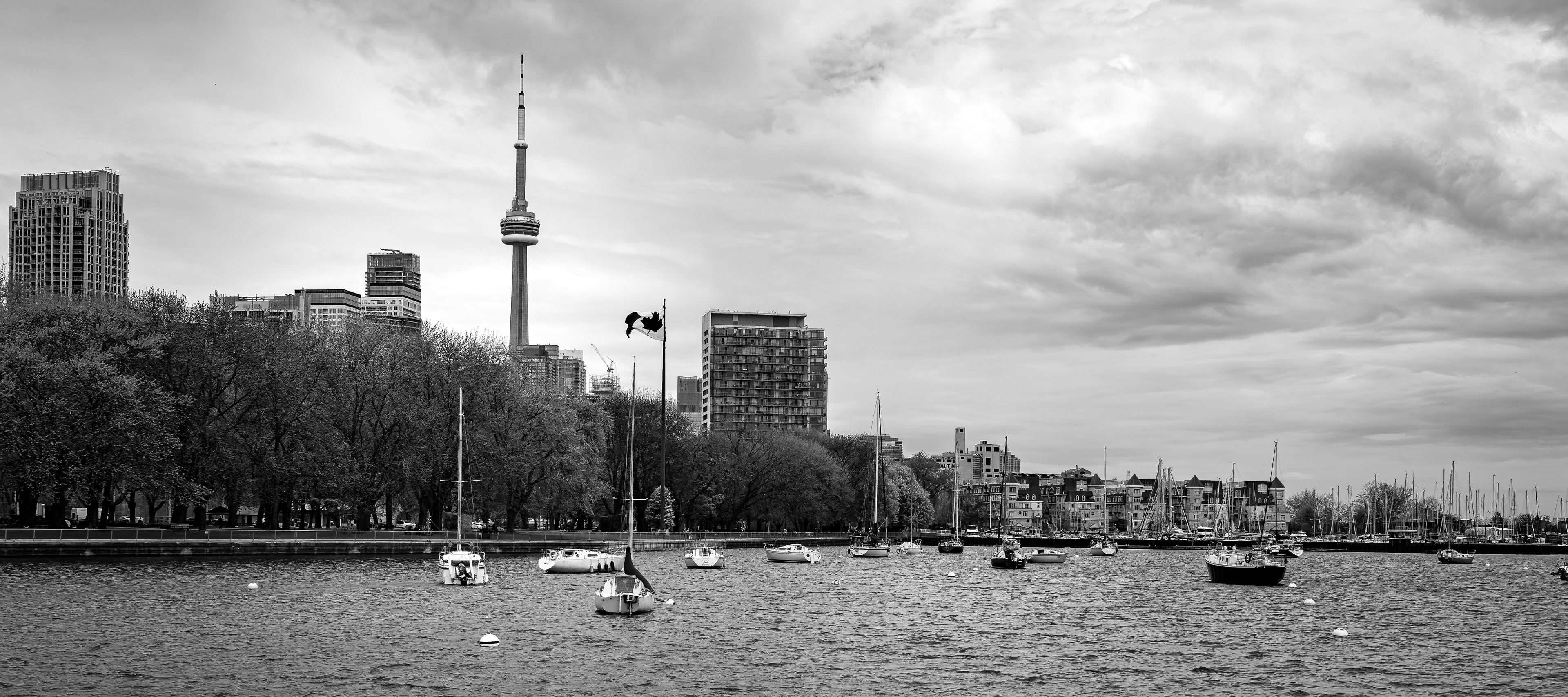 City lines. Lake calm. Monochrome mood
