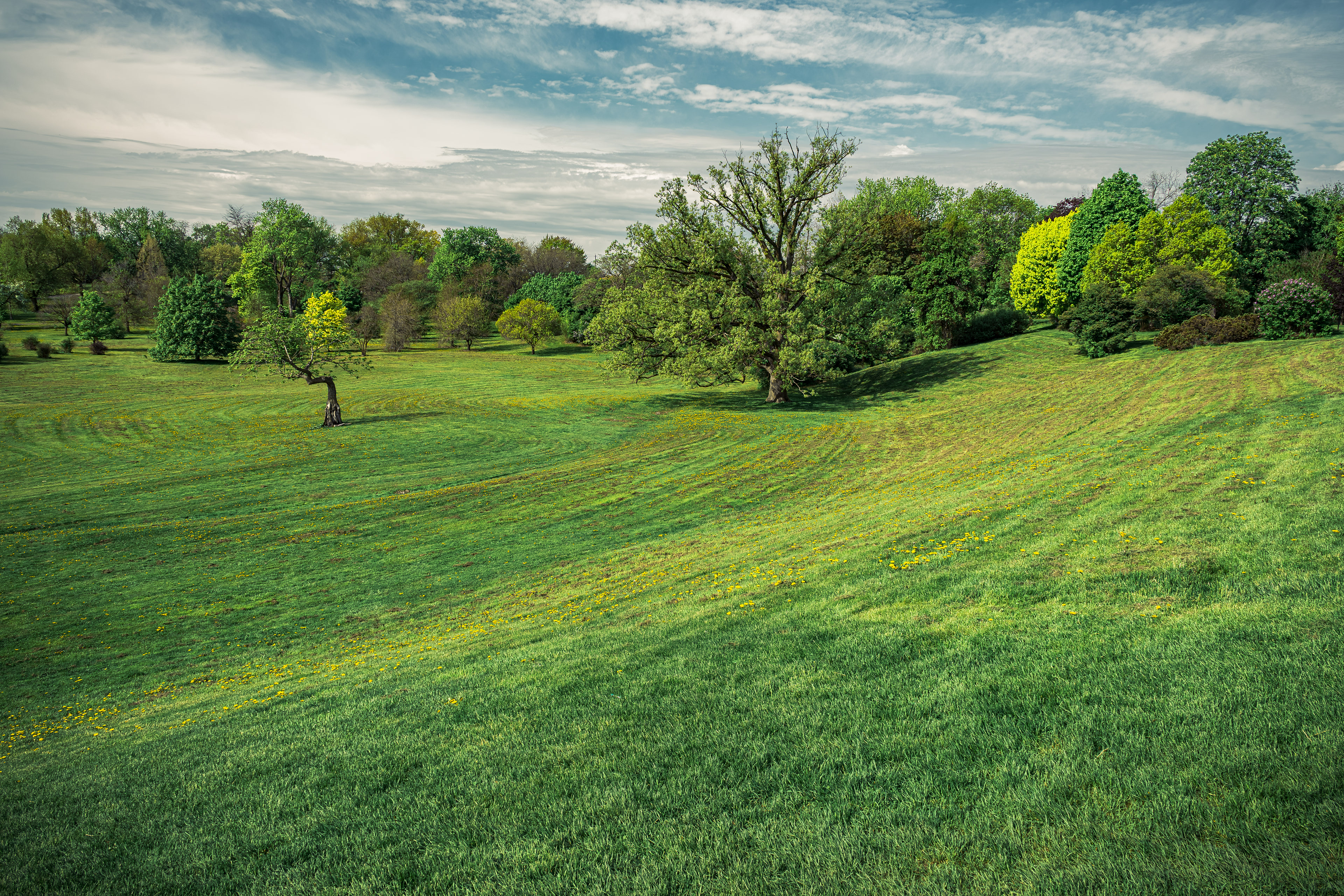 Wandering through Ottawa’s Dominion Arboretum
