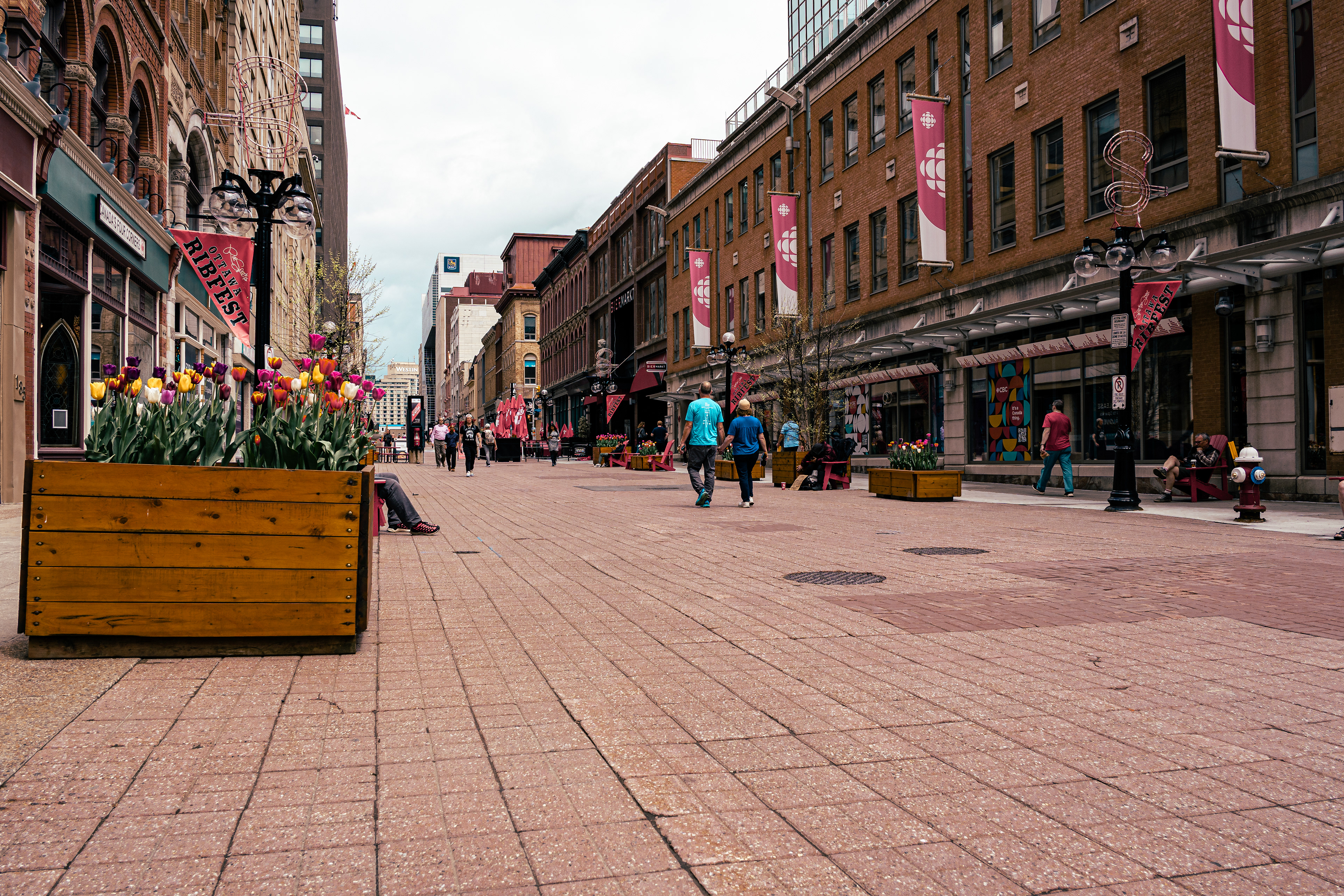 Exploring Sparks Street in Ottawa — pedestrian-only, tulip-filled, and full of character. 🌷🇨🇦