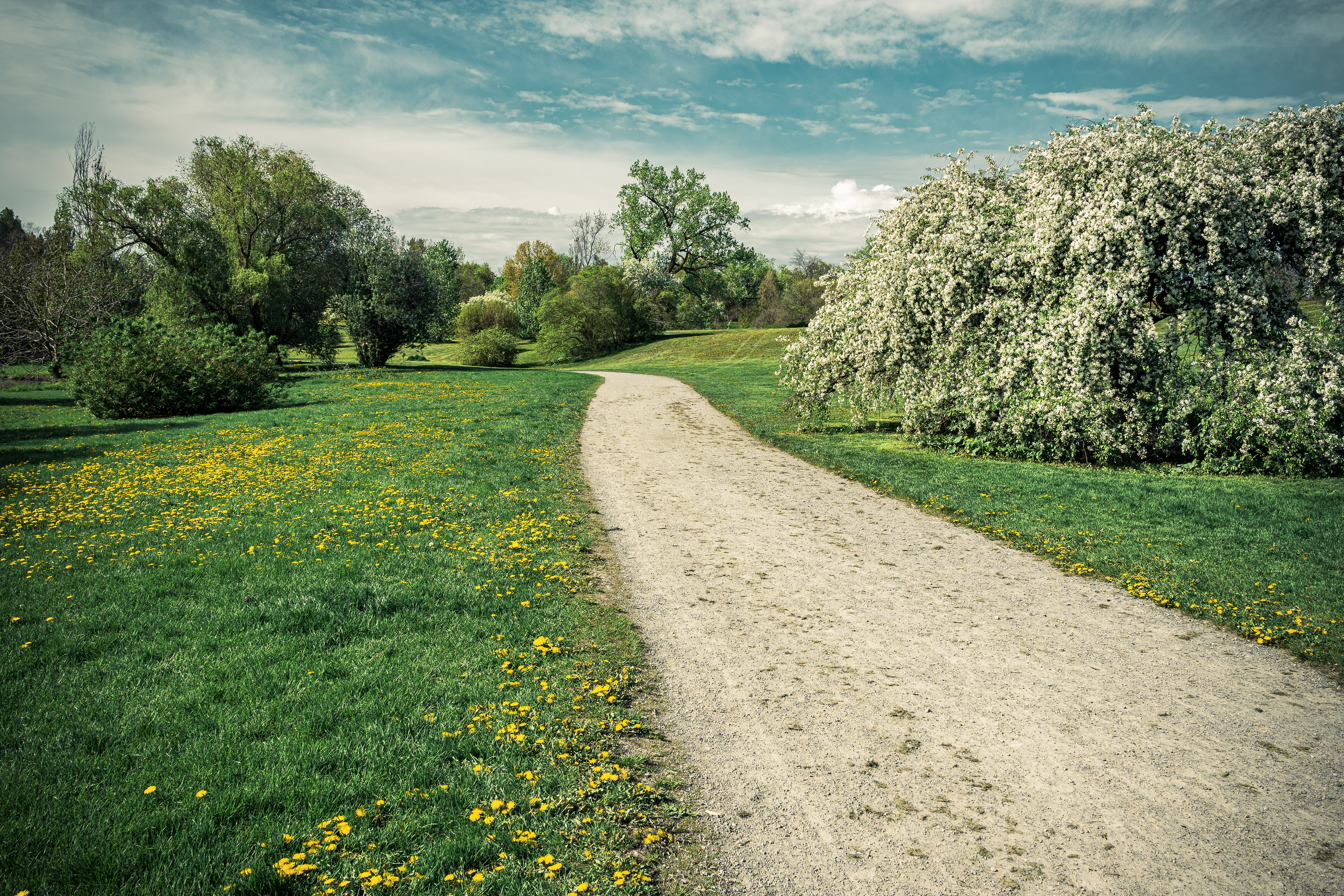 Wandering through Ottawa’s Dominion Arboretum