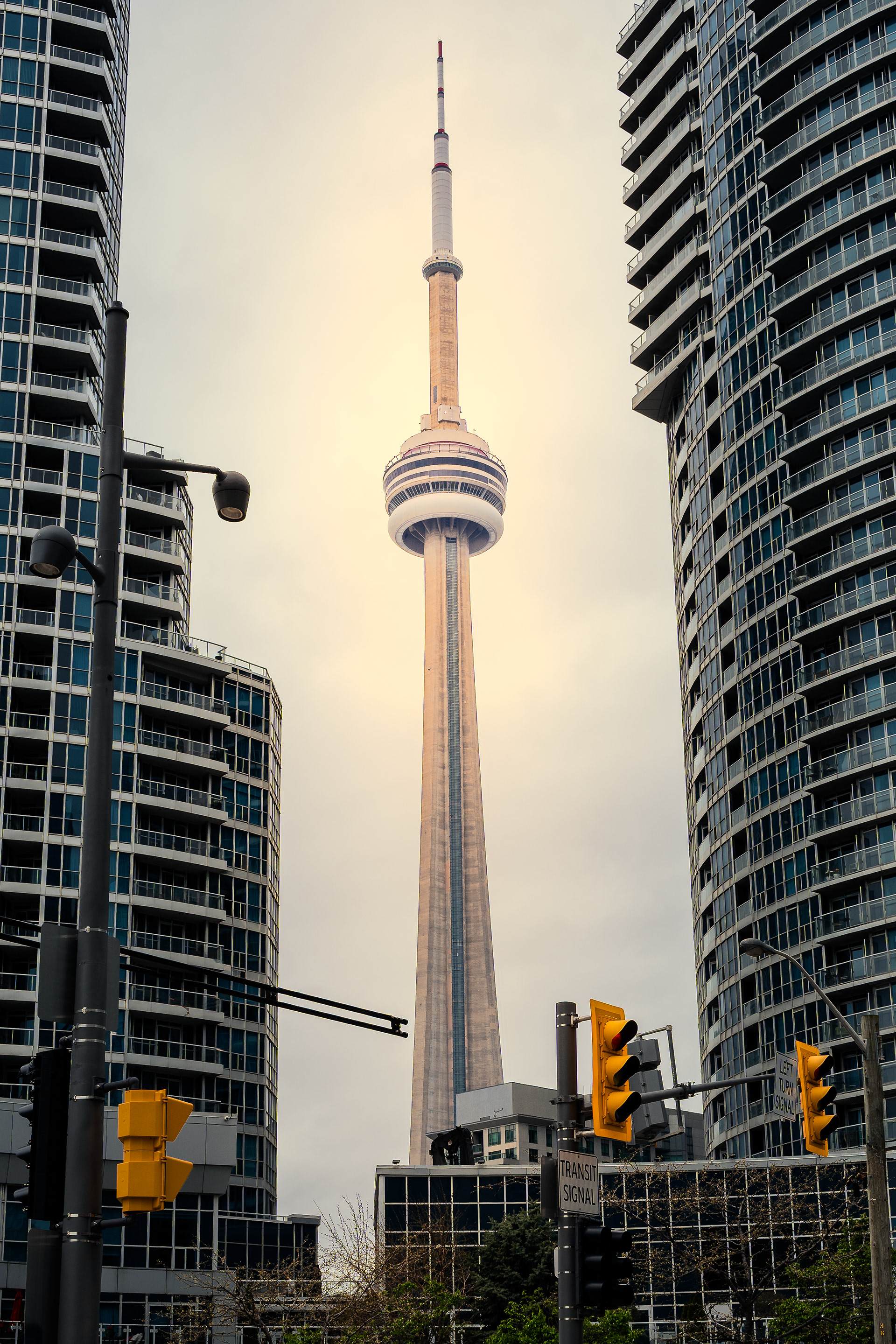 The CN Tower rising above downtown Toronto