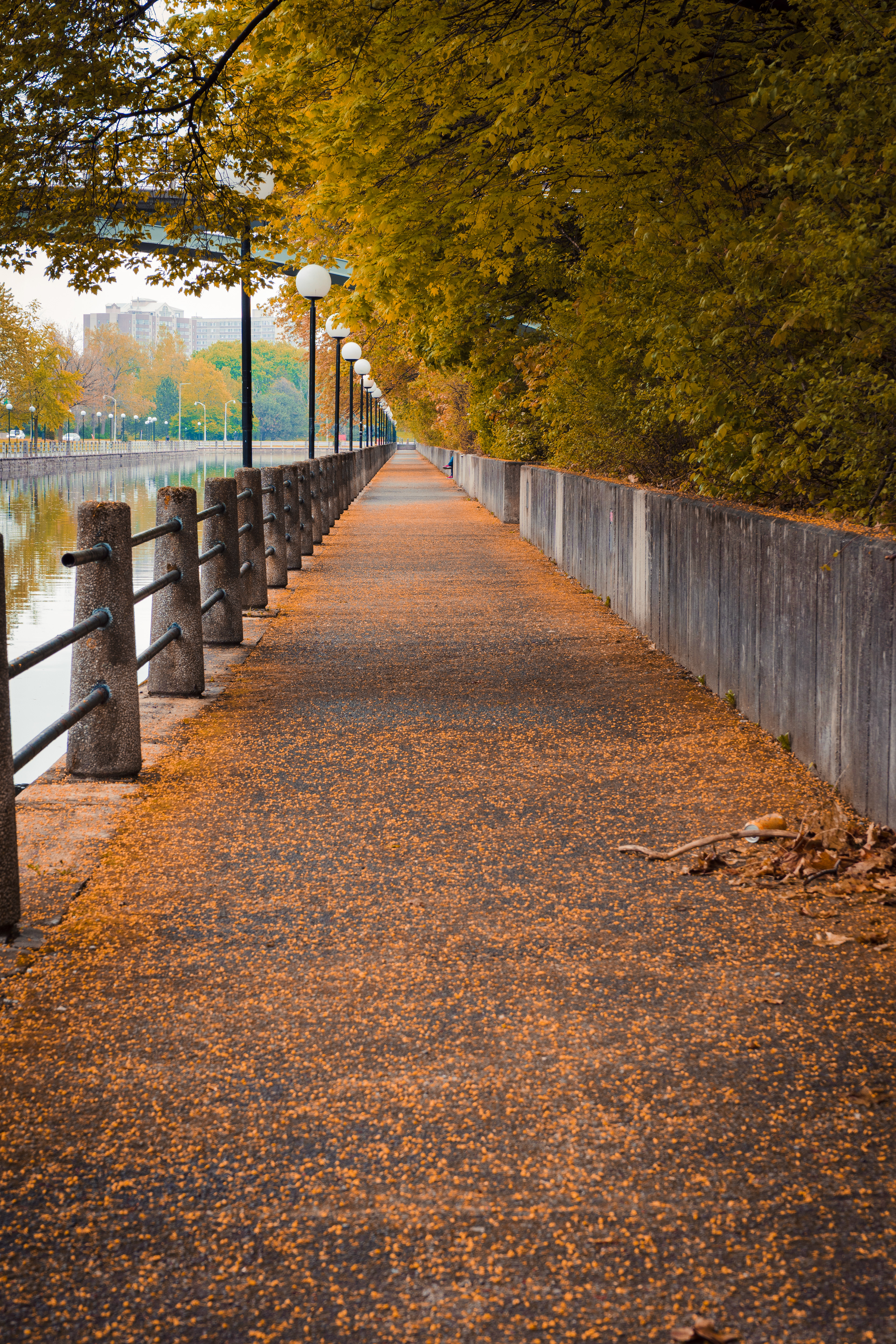 Ottawa’s Rideau Canal