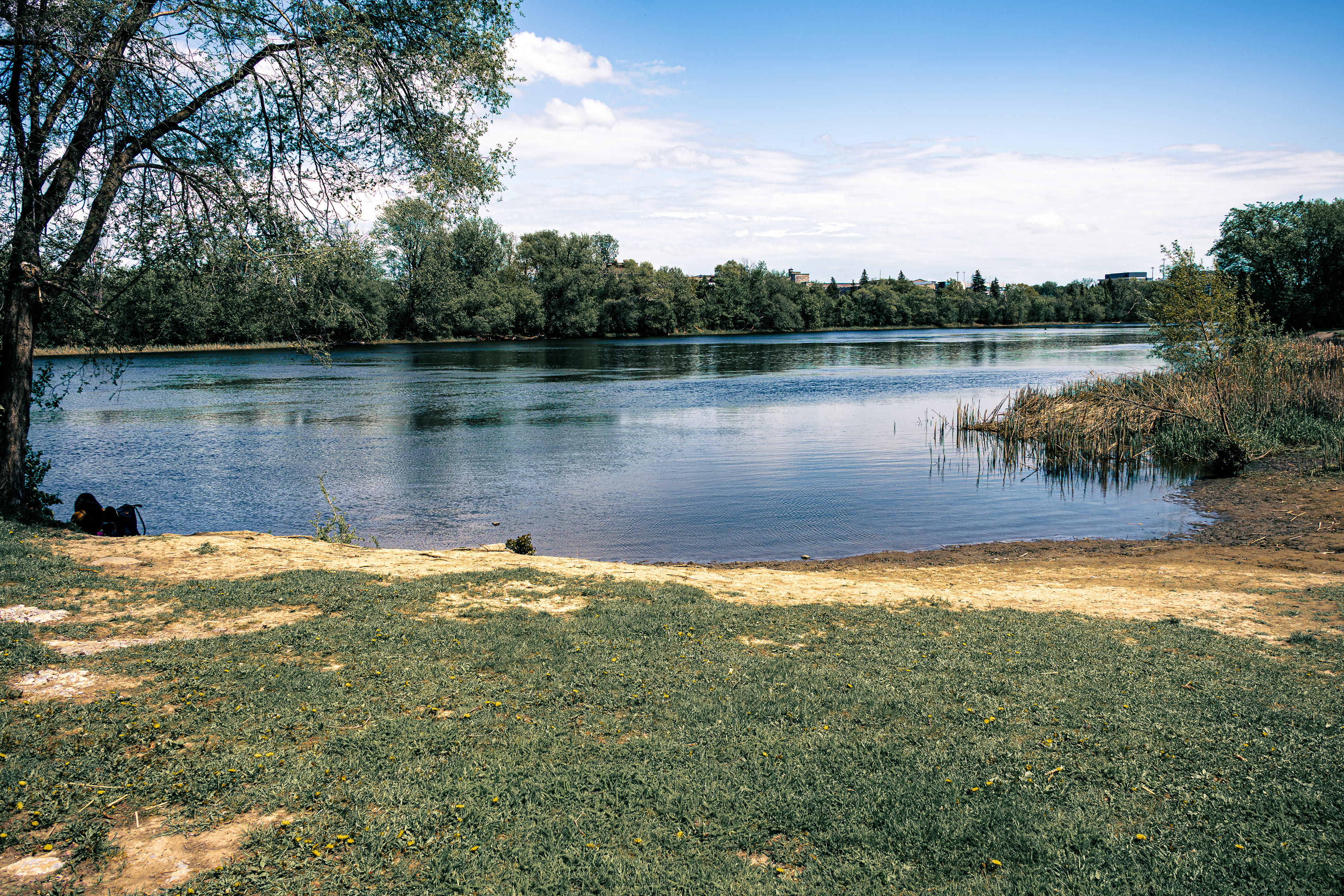 Along the Rideau River