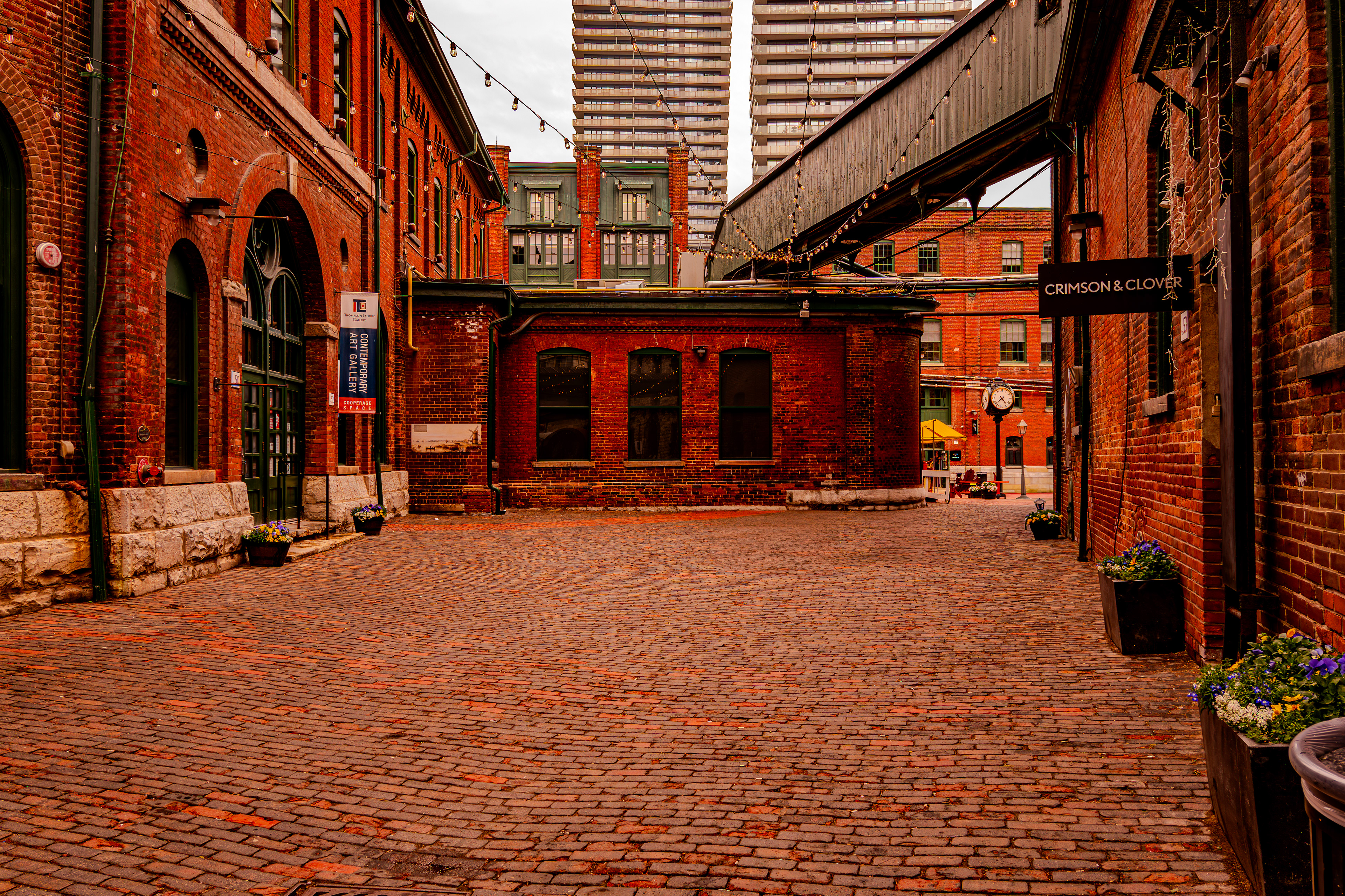 Cobblestone corners in the Distillery District. ✨