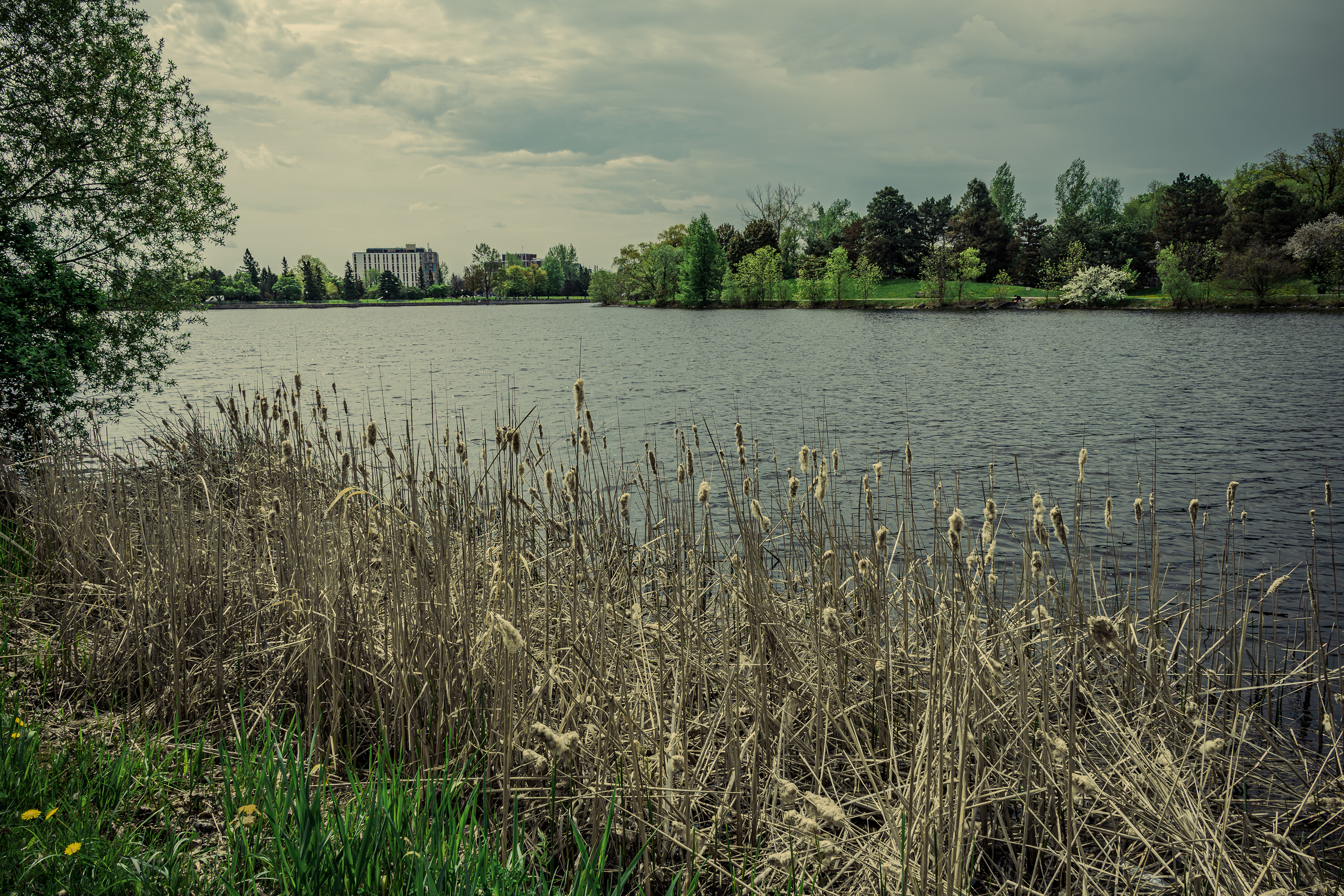 Dow’s Lake (Ottawa)
