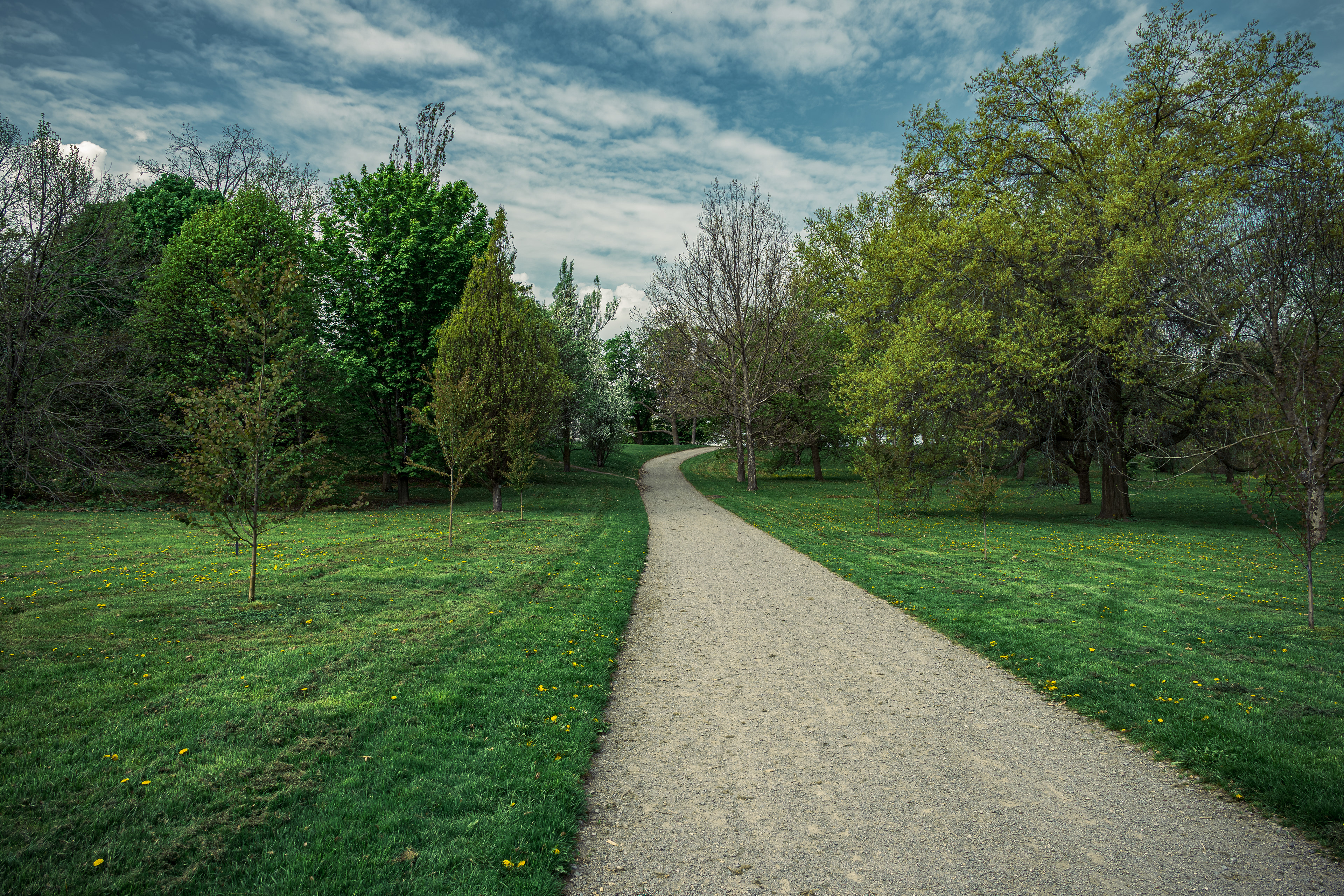 Green trails and spring trees in Ottawa.