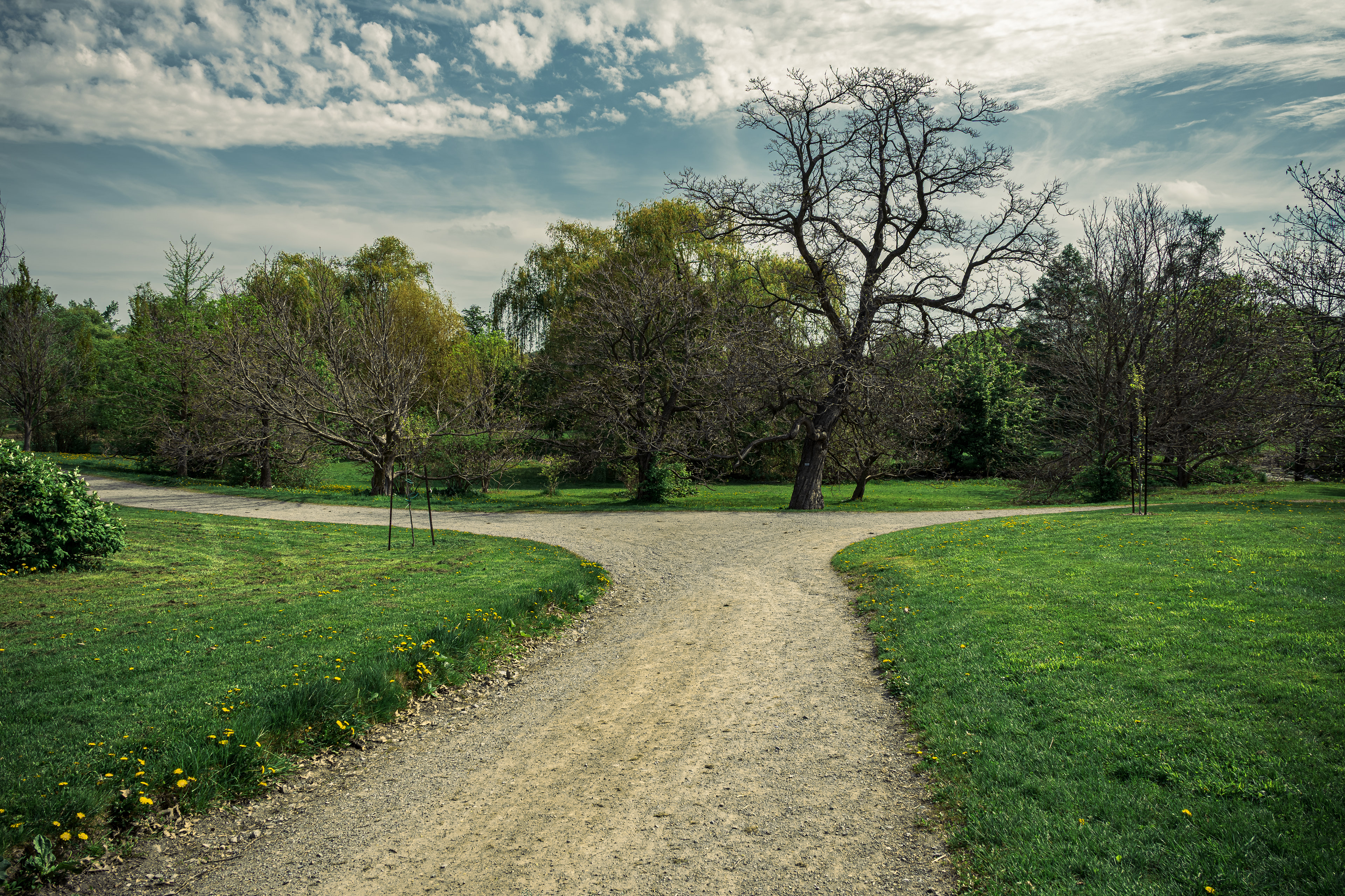 Green trails and spring trees in Ottawa.