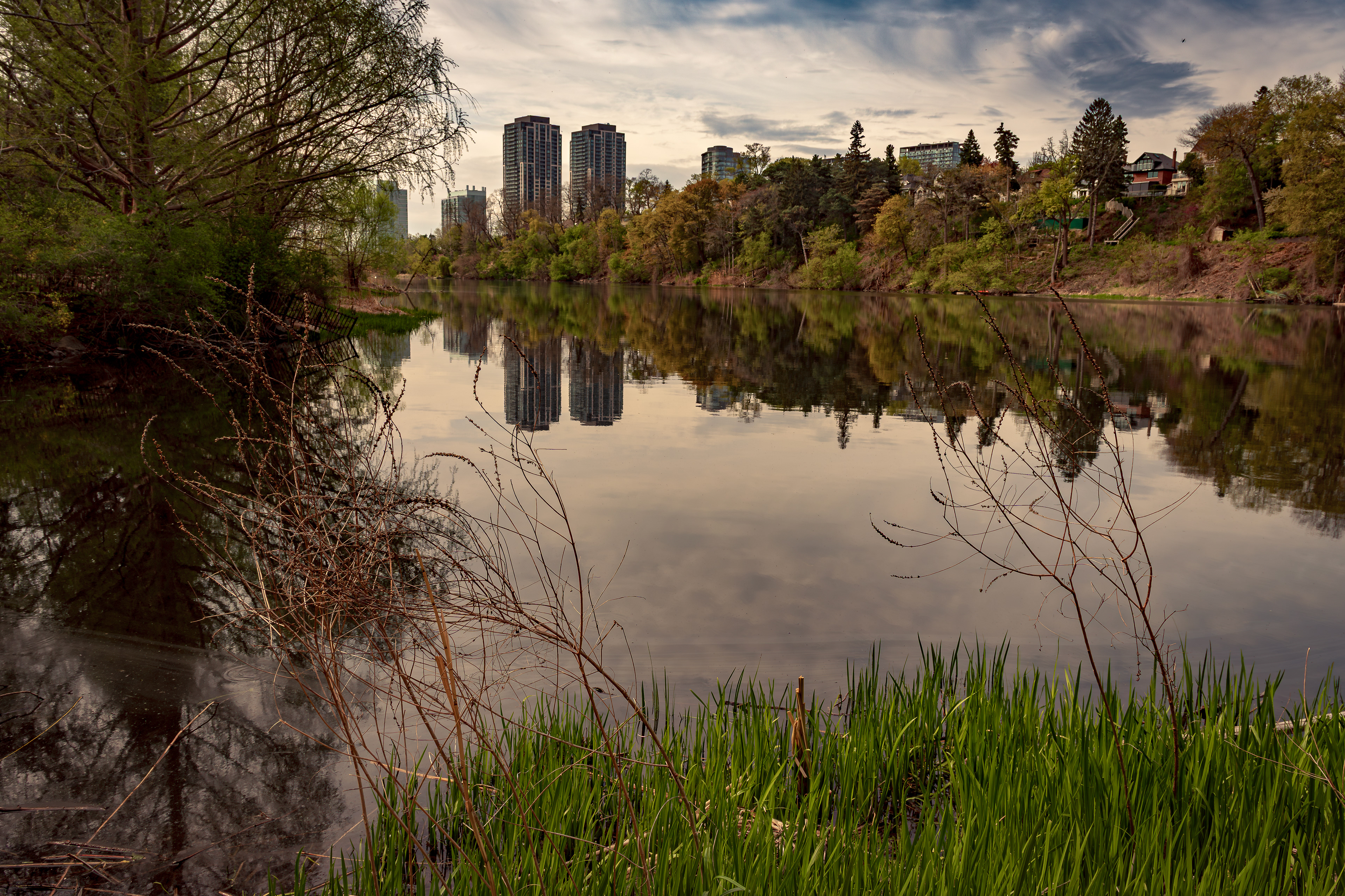 Reflections along Grenadier Pond in High Park
