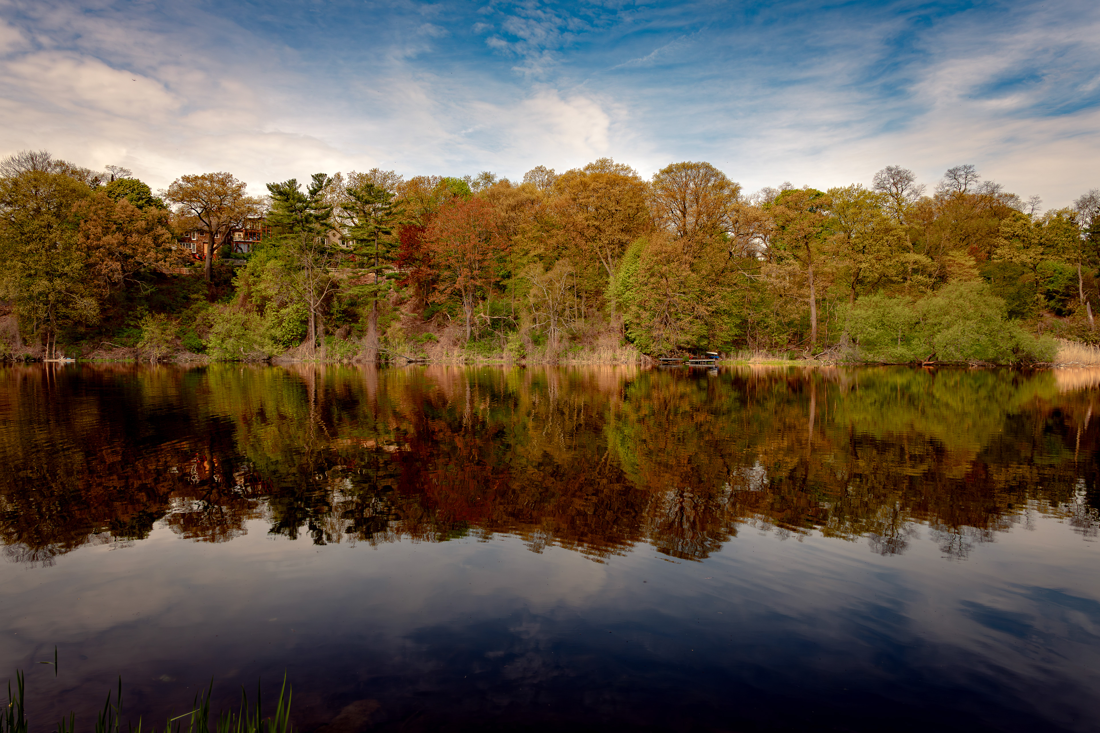 Tranquil reflections along Grenadier Pond, High Park.