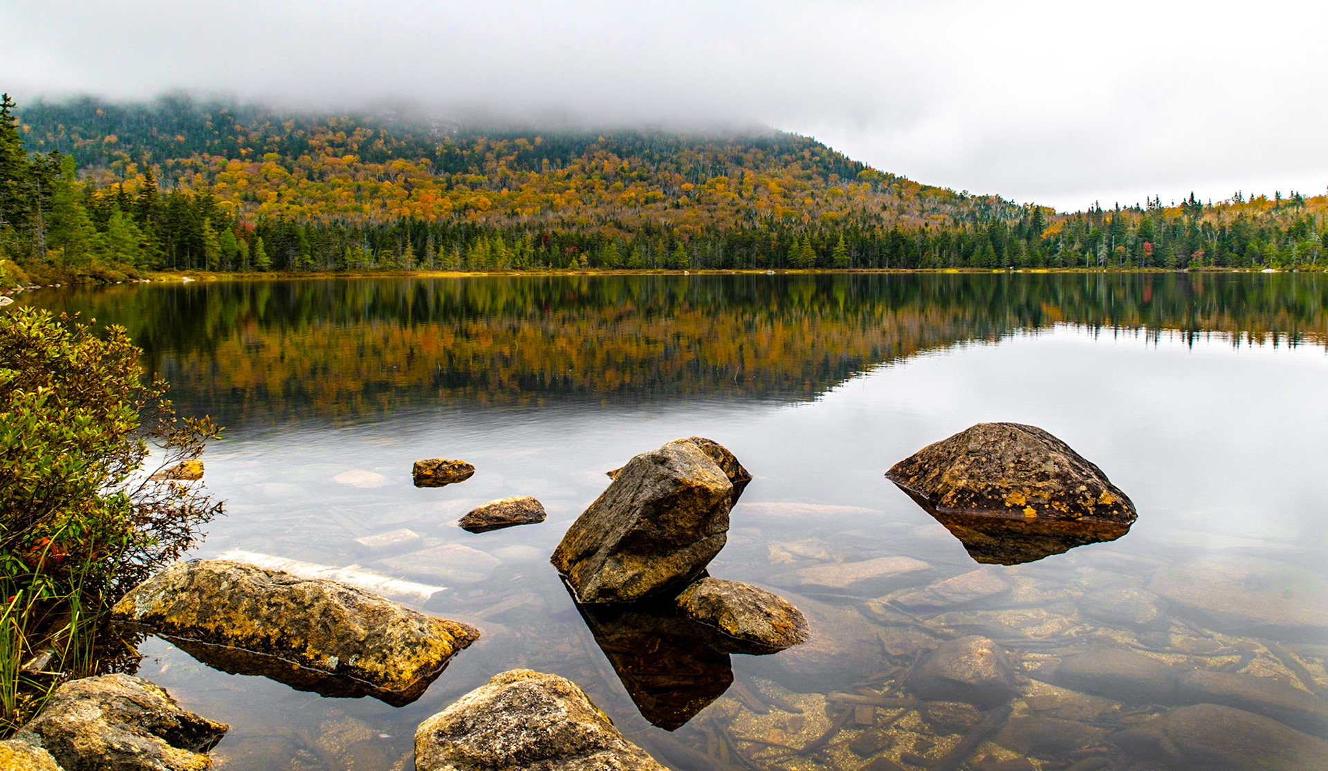 Reflective Fall Color