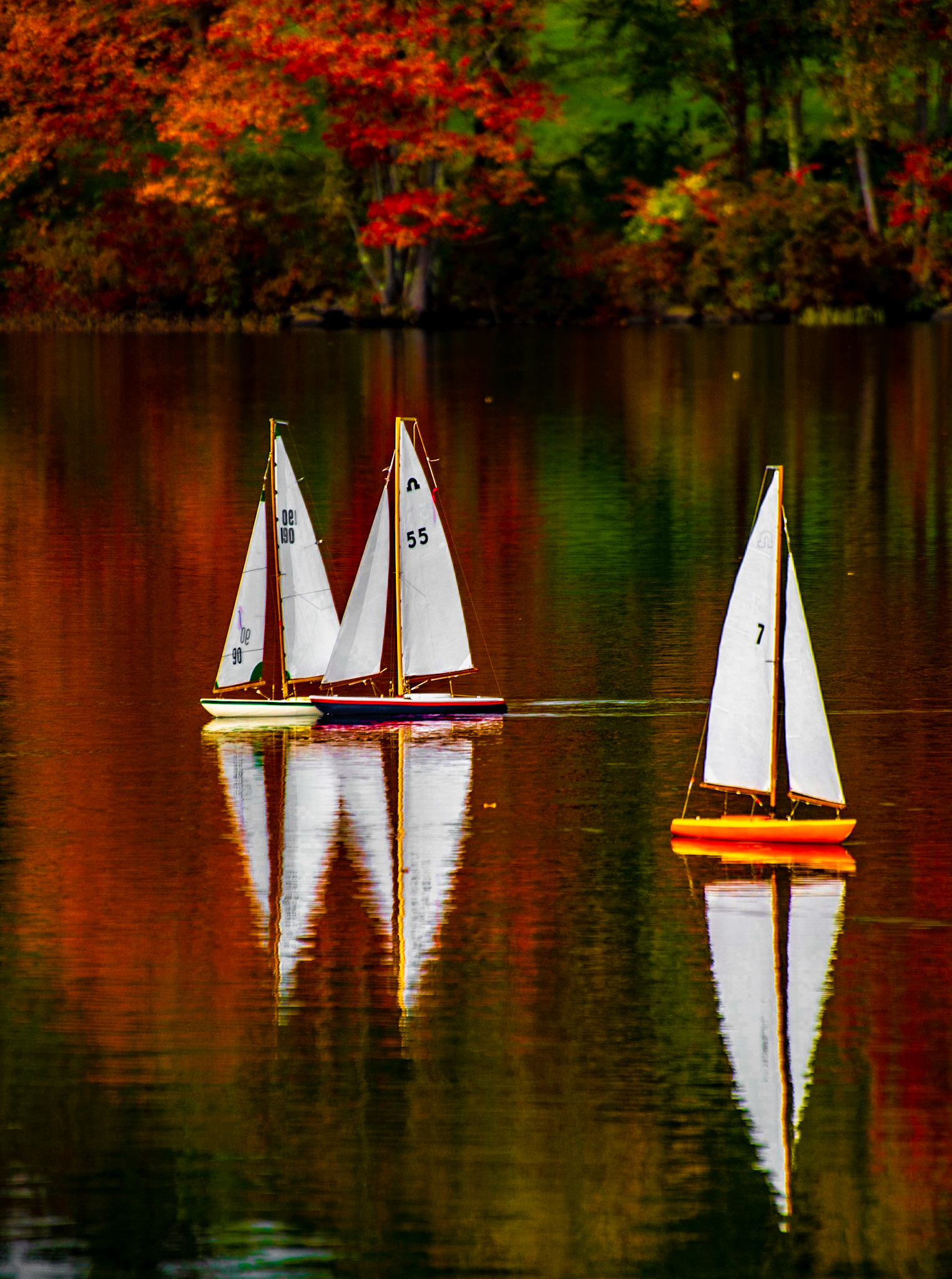 Model Yacht Racing