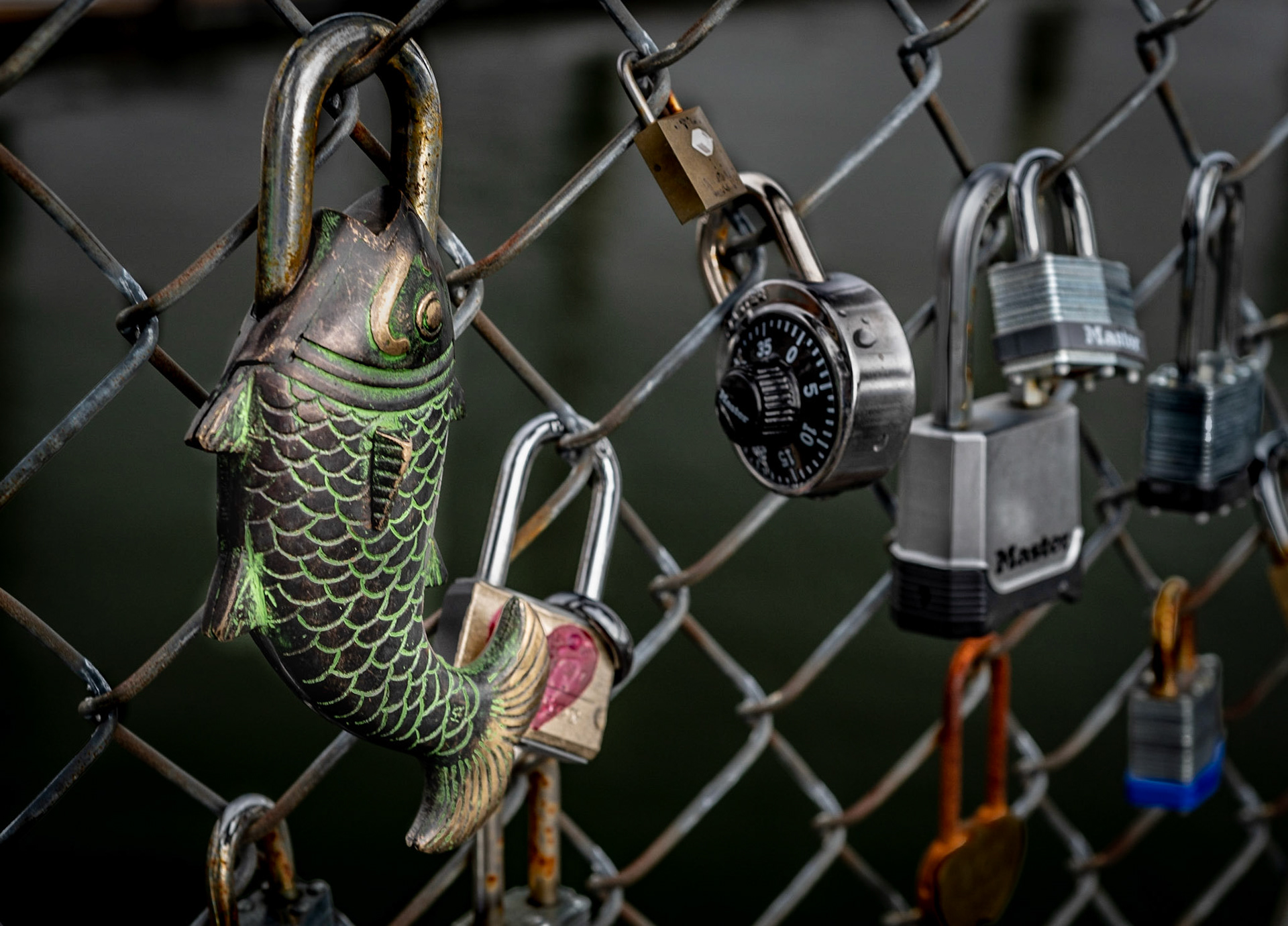 Locks for love on a fence in Portsmouth, NH.