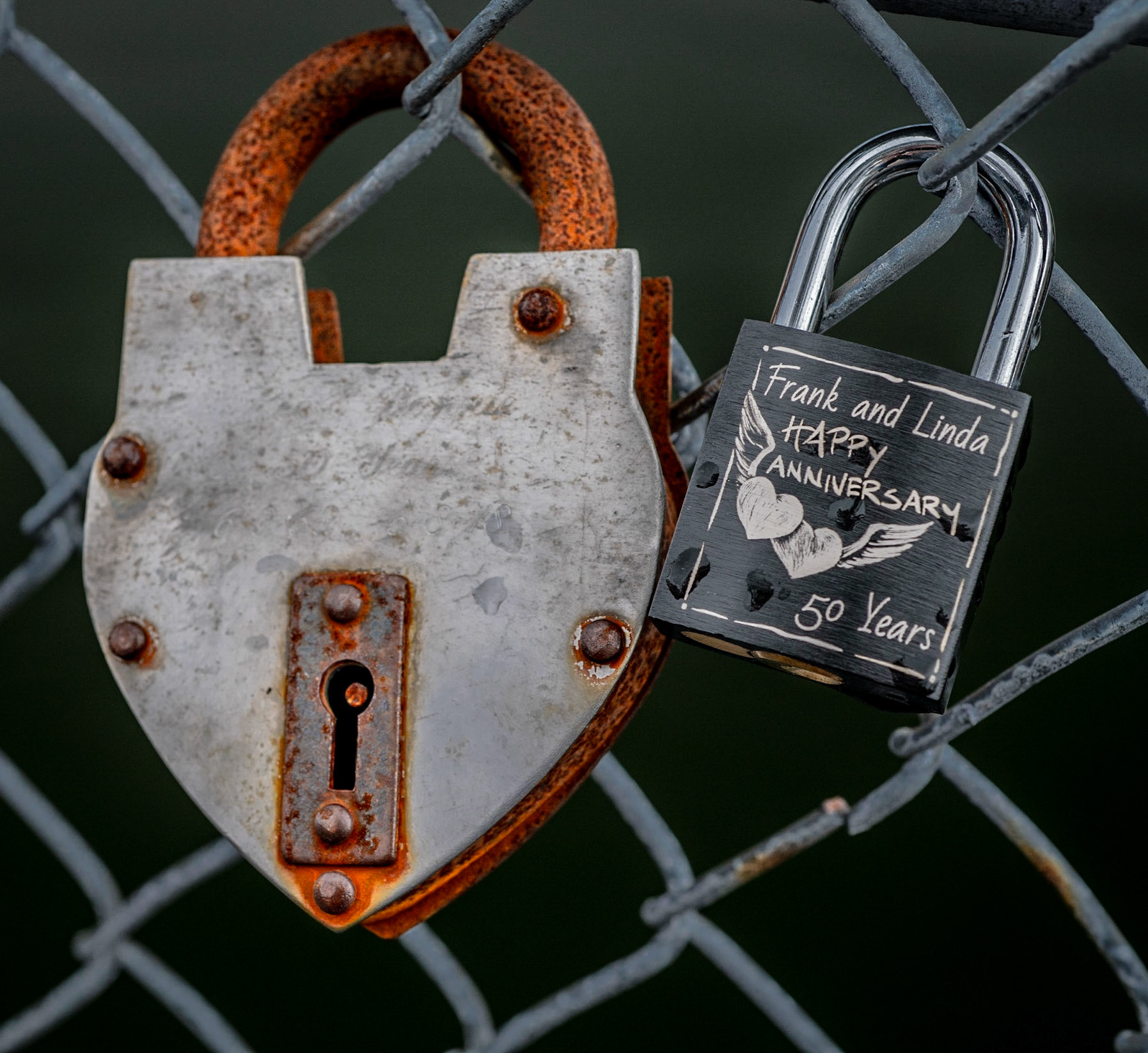 Locks for love on a fence in Portsmouth, NH.