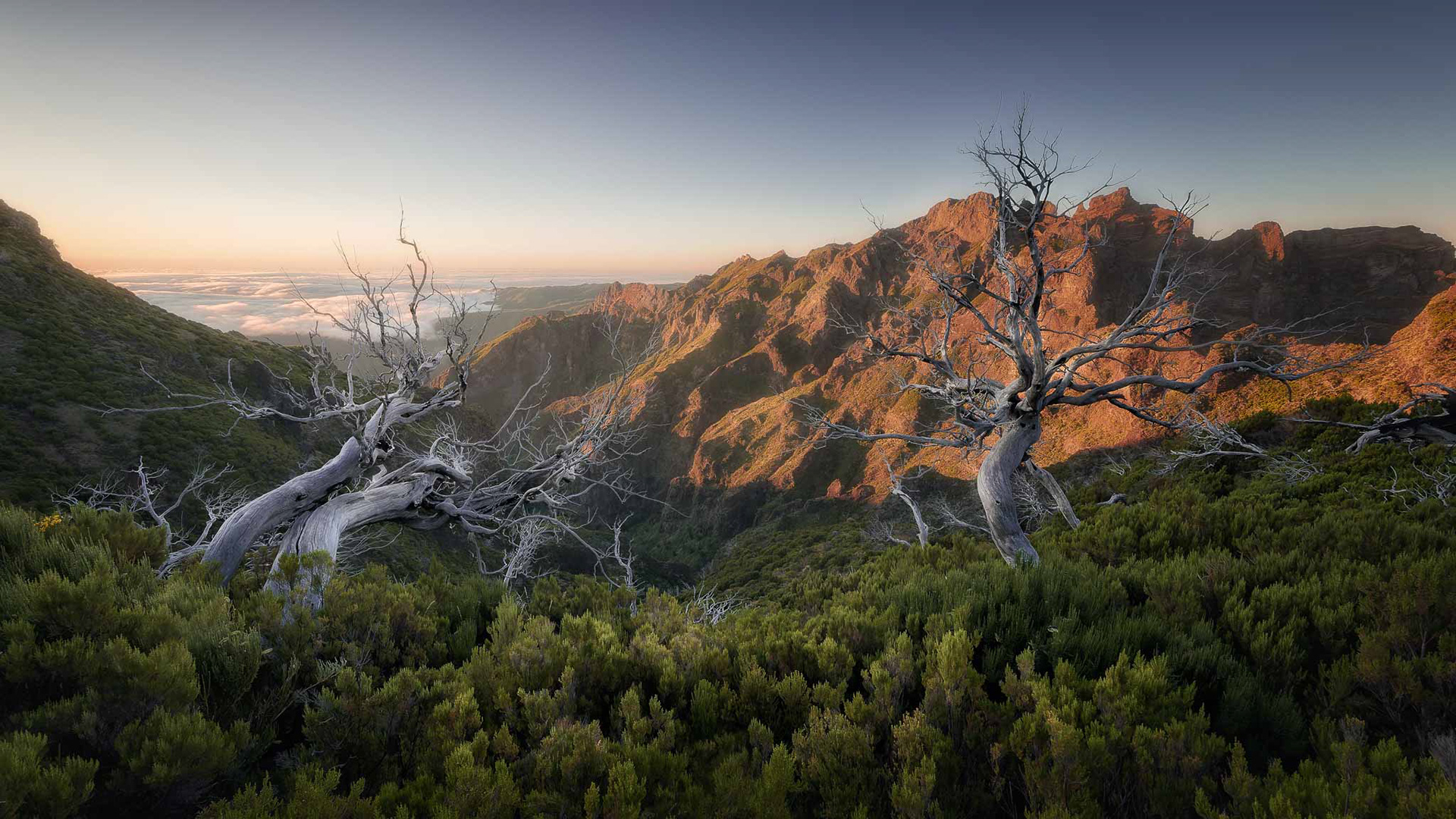 Pico Ruivo (Madeira, Portugal)
