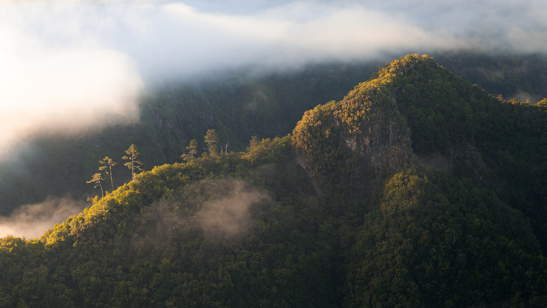 Mirador dos Balcões (Madeira, Portugal)
