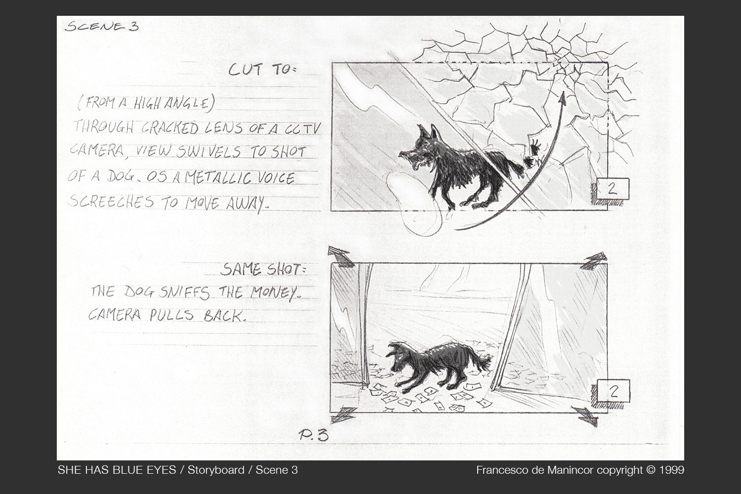 Storyboard by Francesco de Manincor