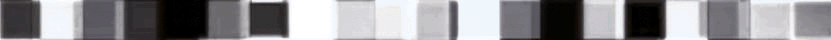 Divider image with black and white, animated small squares.
