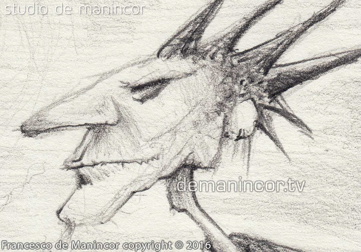 character design by Francesco de Manincor