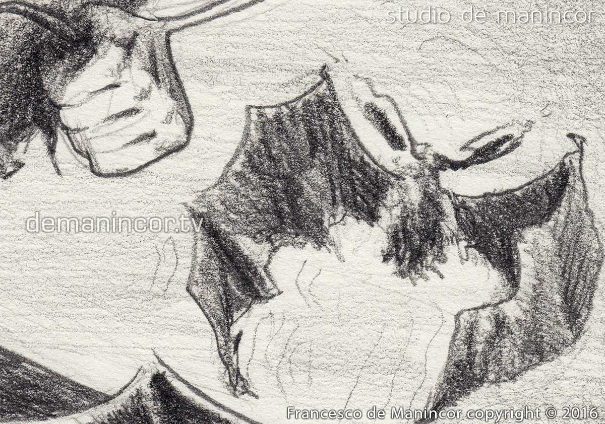 character design by Francesco de Manincor