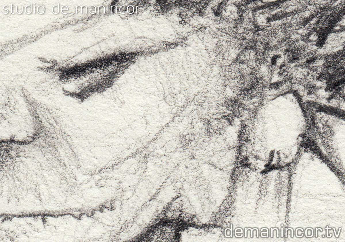 character design by Francesco de Manincor