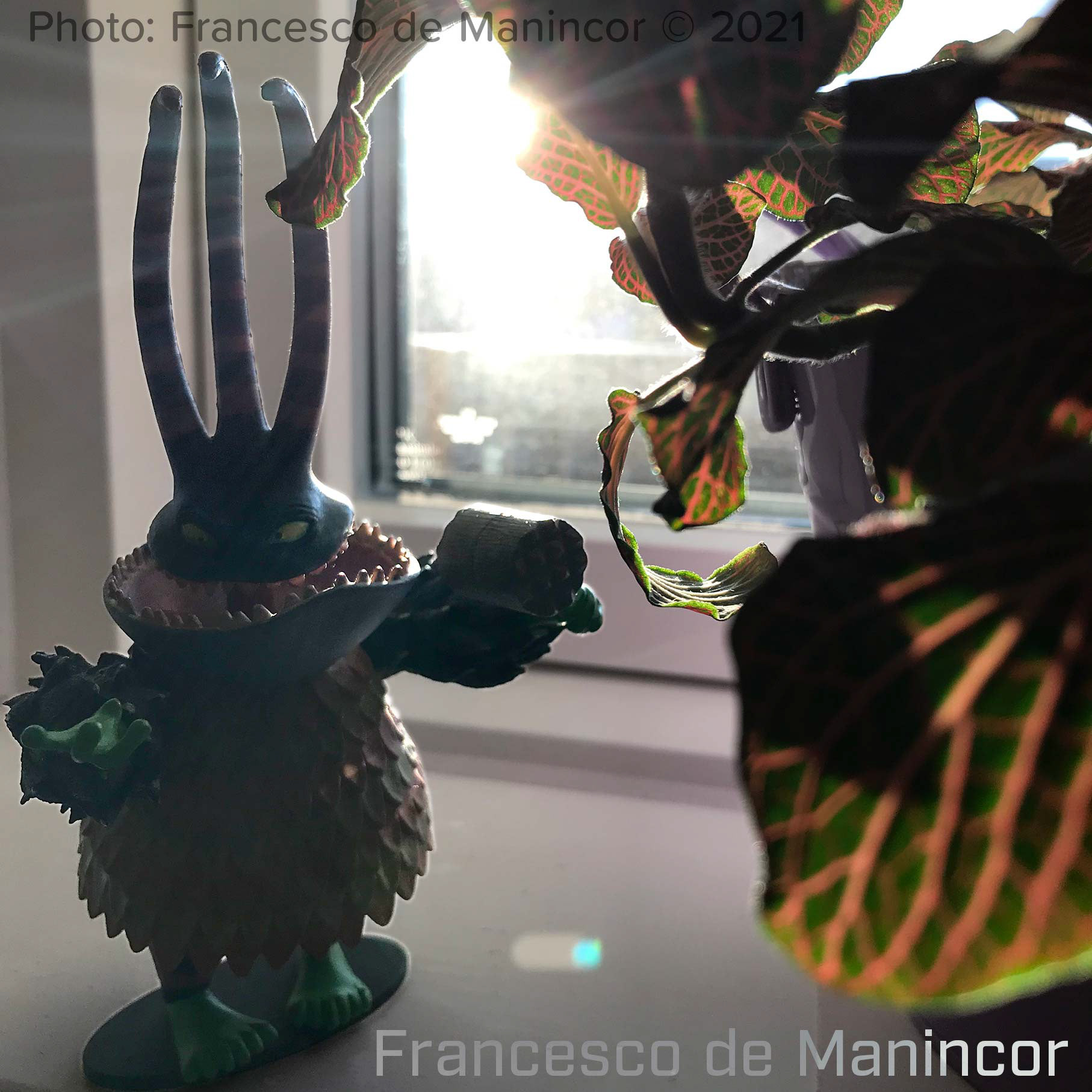 Art toys collection photo by Francesco de Manincor.