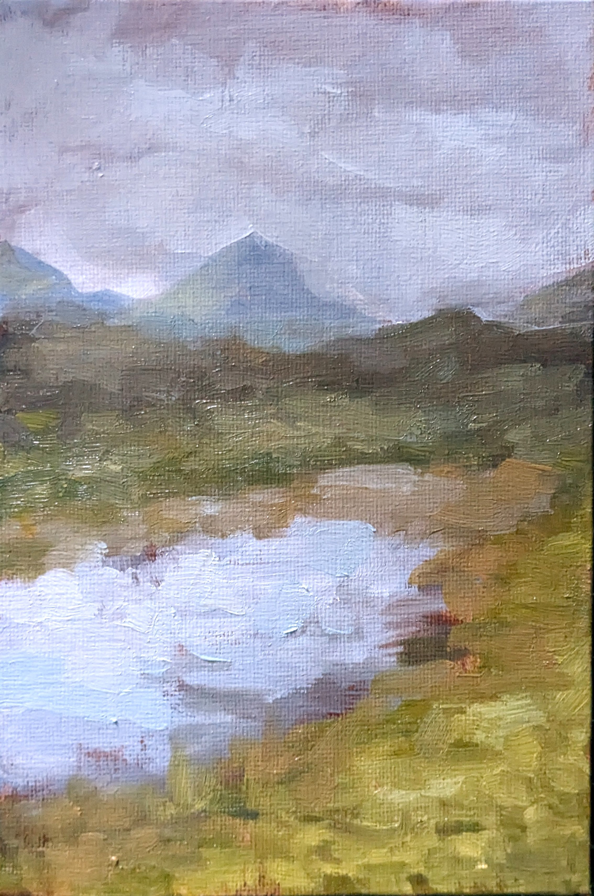 Study of Scottish nature. Oil on 5x7 canvas panel.