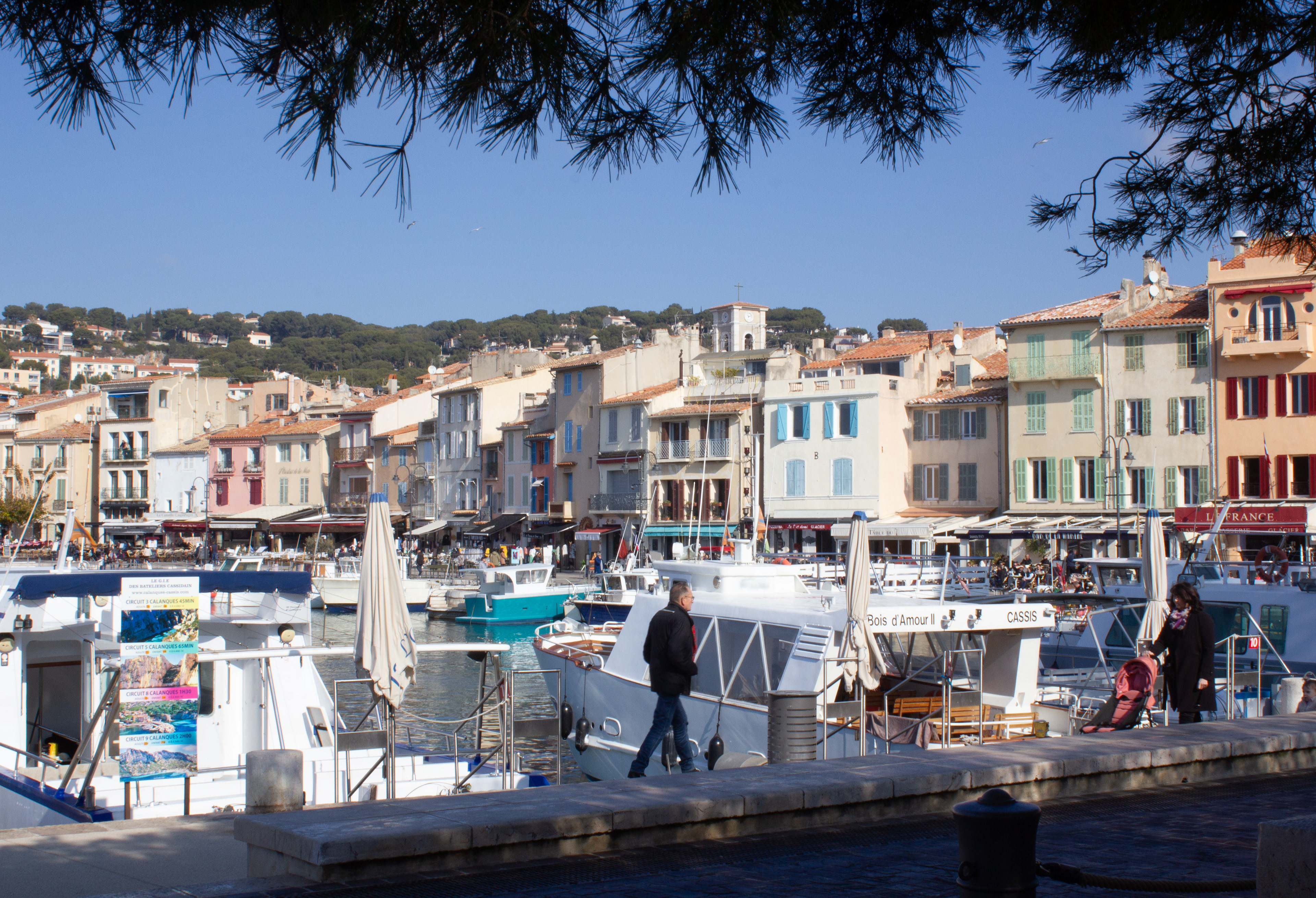 Cassis's harbor.