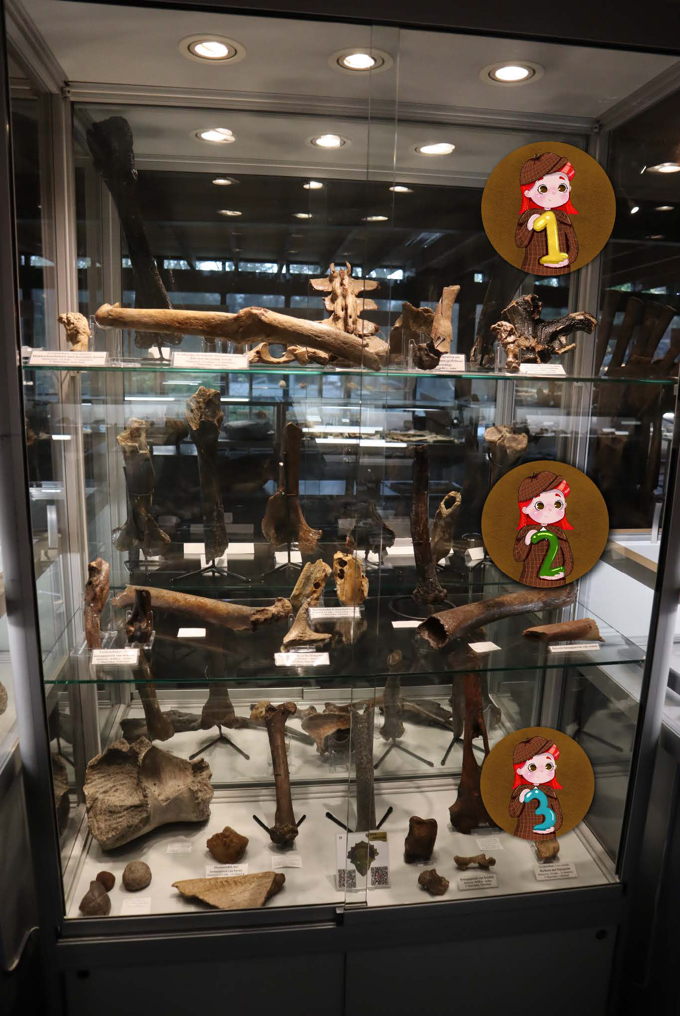 Vitrine botten met bijtafdrukken