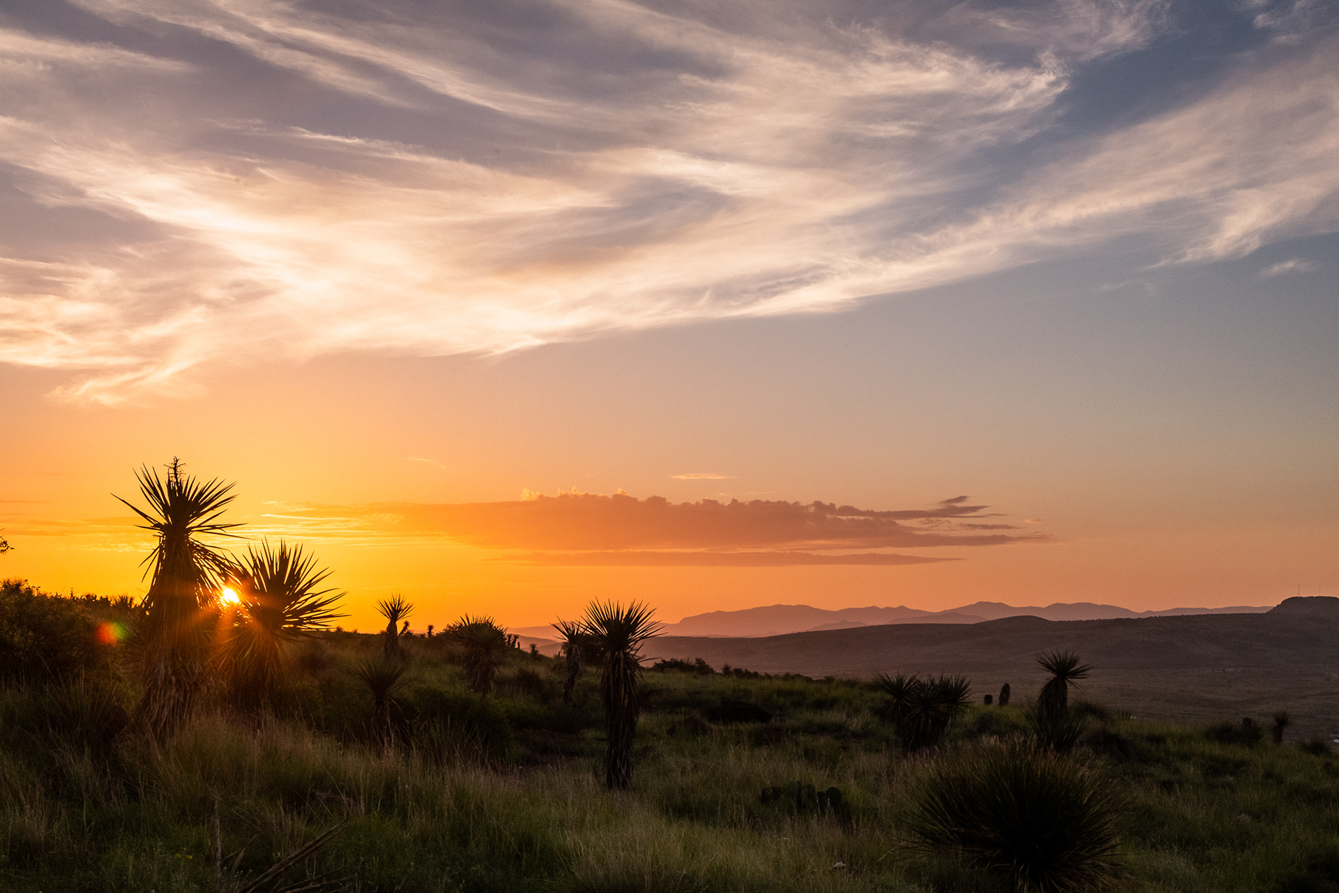 High Desert Sunrise