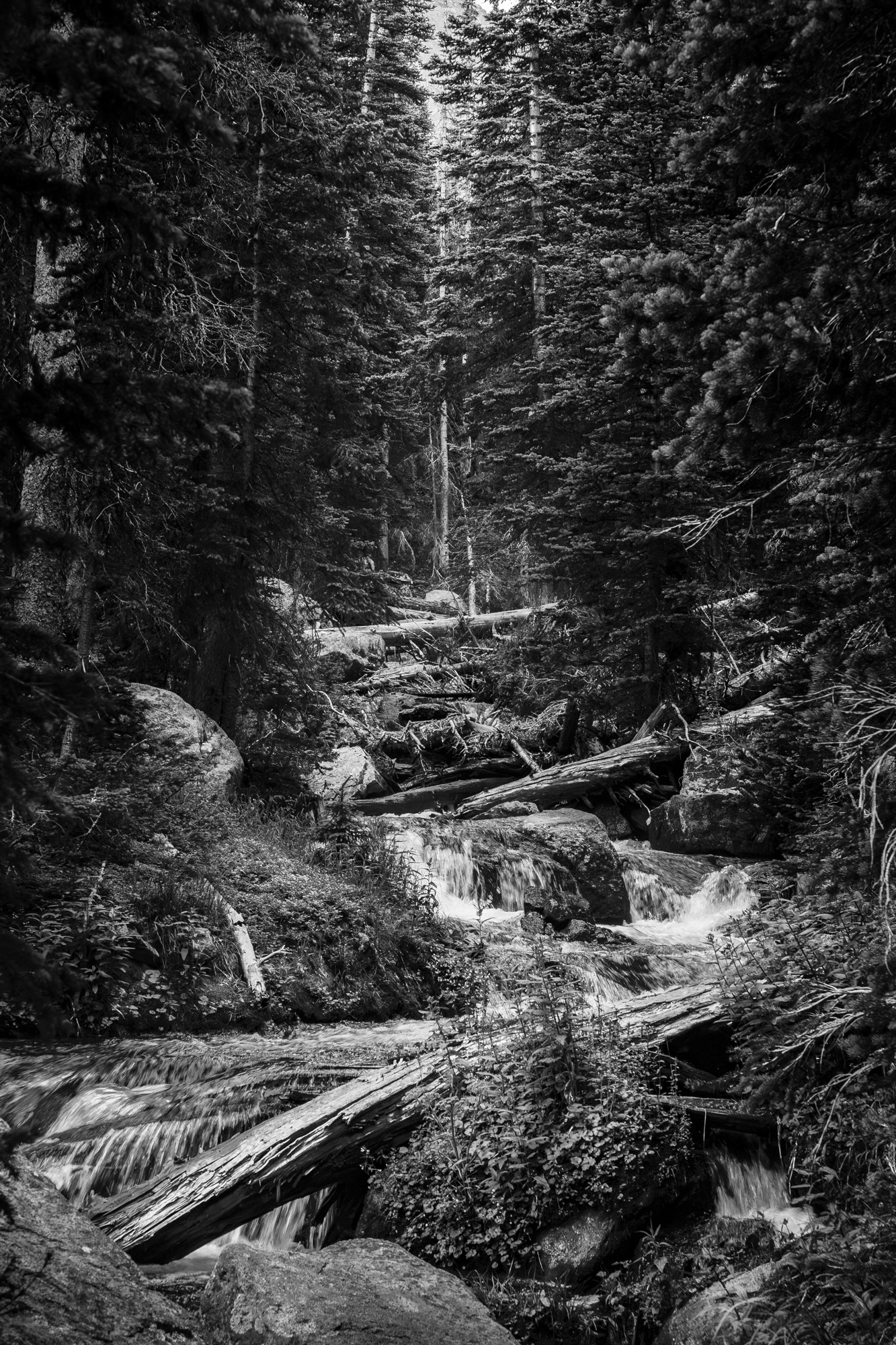 Narrow Channel