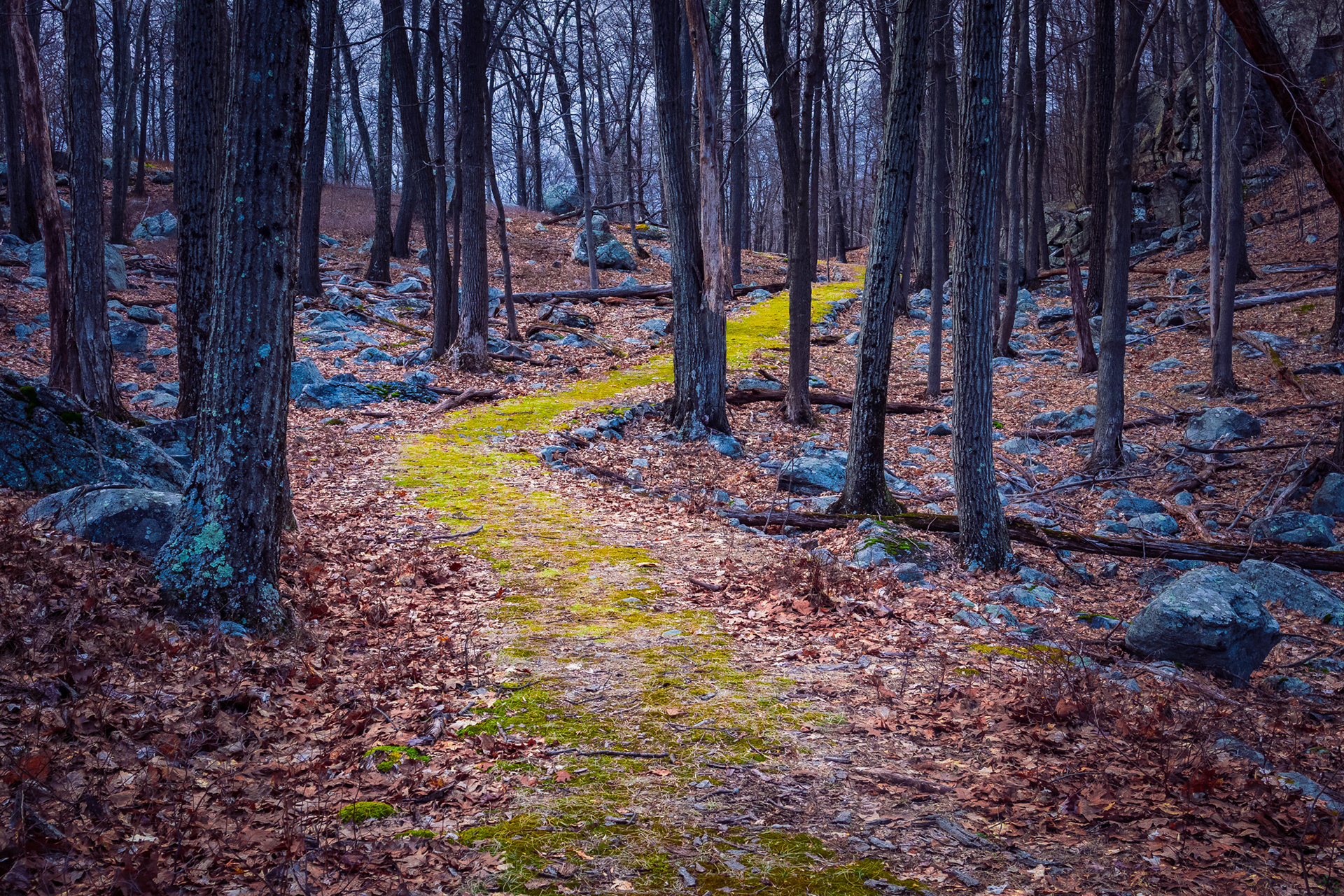 Secret Pathway