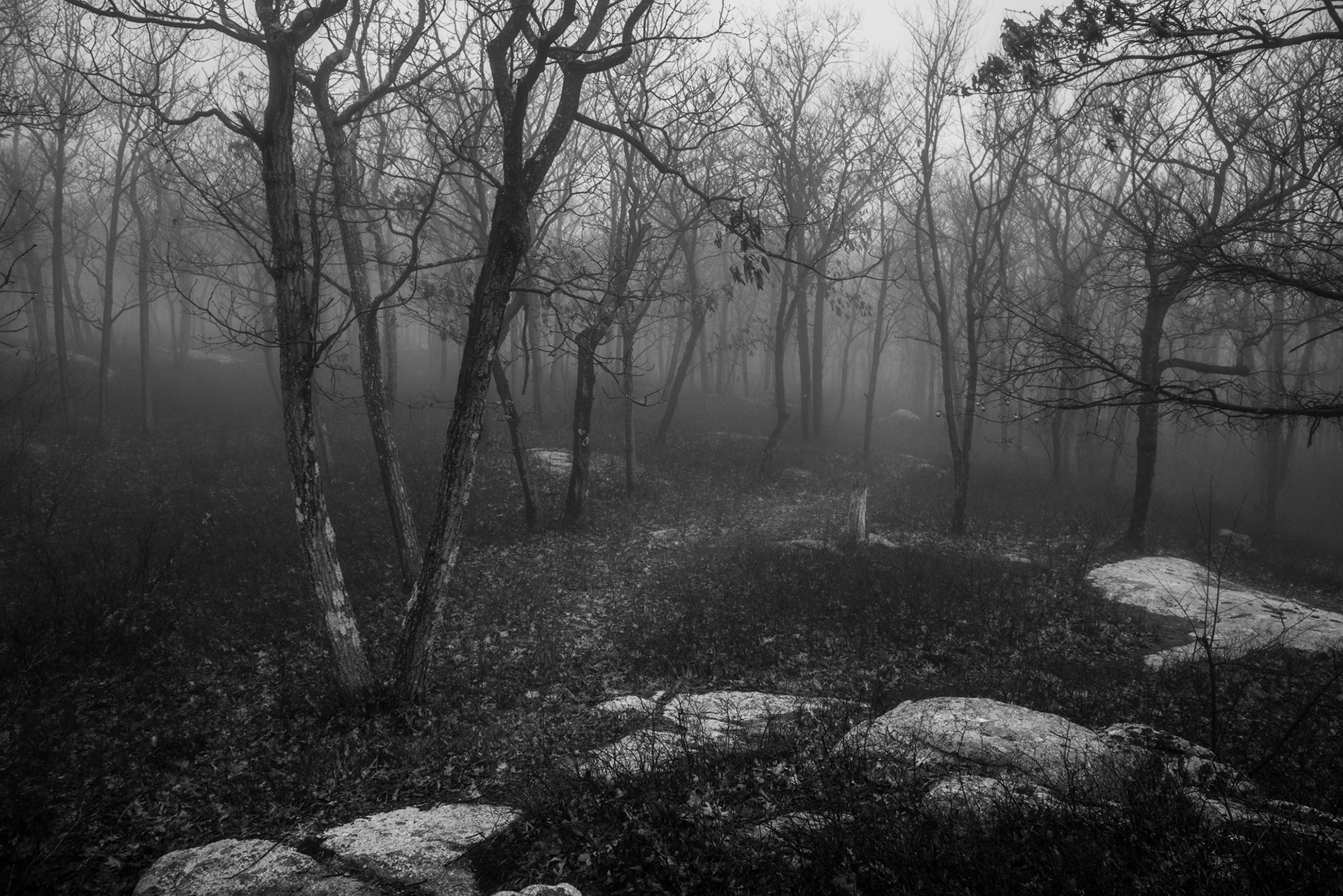 Faint Path