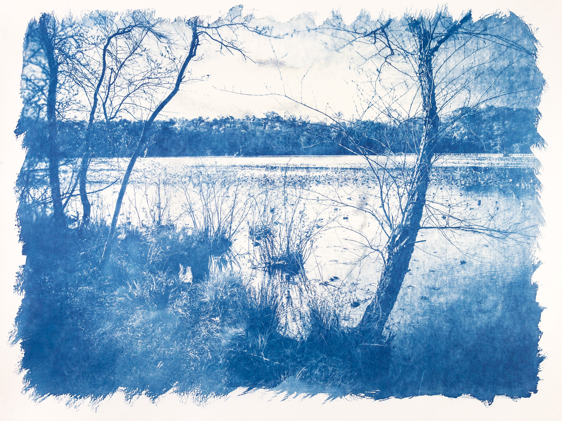 View of Smithville Lake