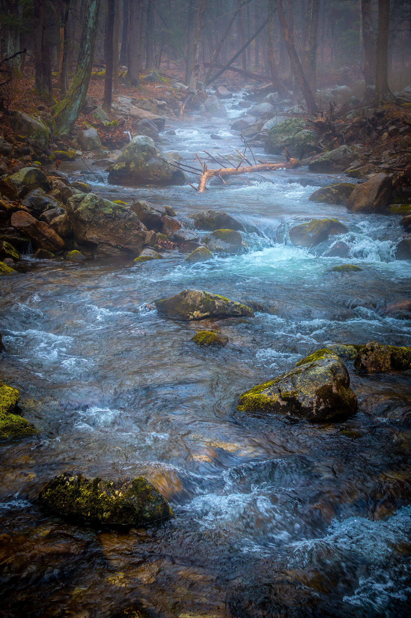 Cool Mist Run