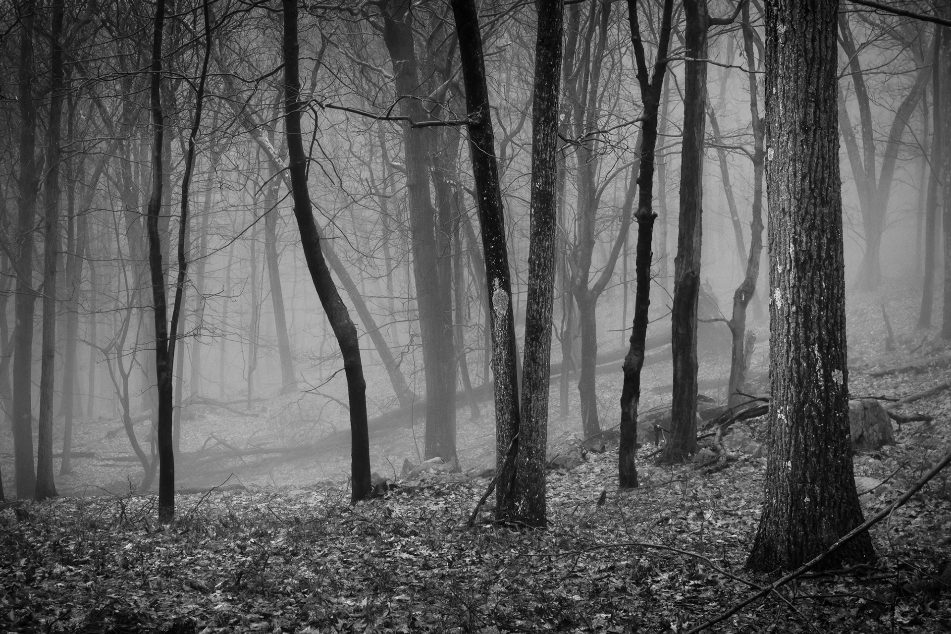 Deep Mist
